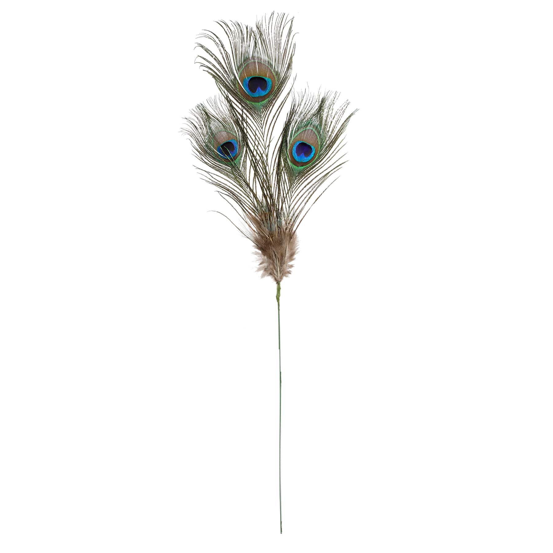 12 Pack: Peacock Feather Picks by Ashland®