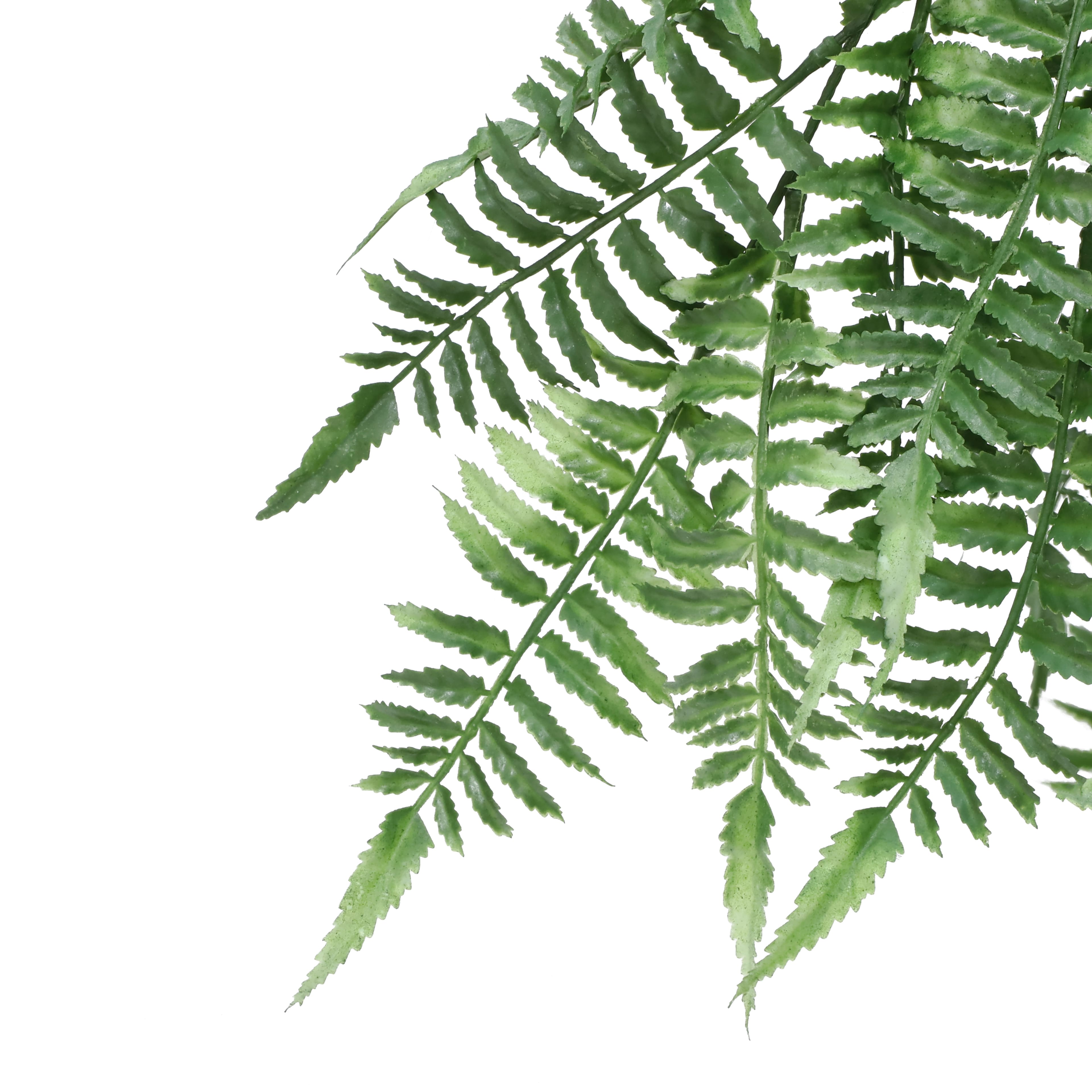 22" Green Hanging Fern Bush by Ashland®