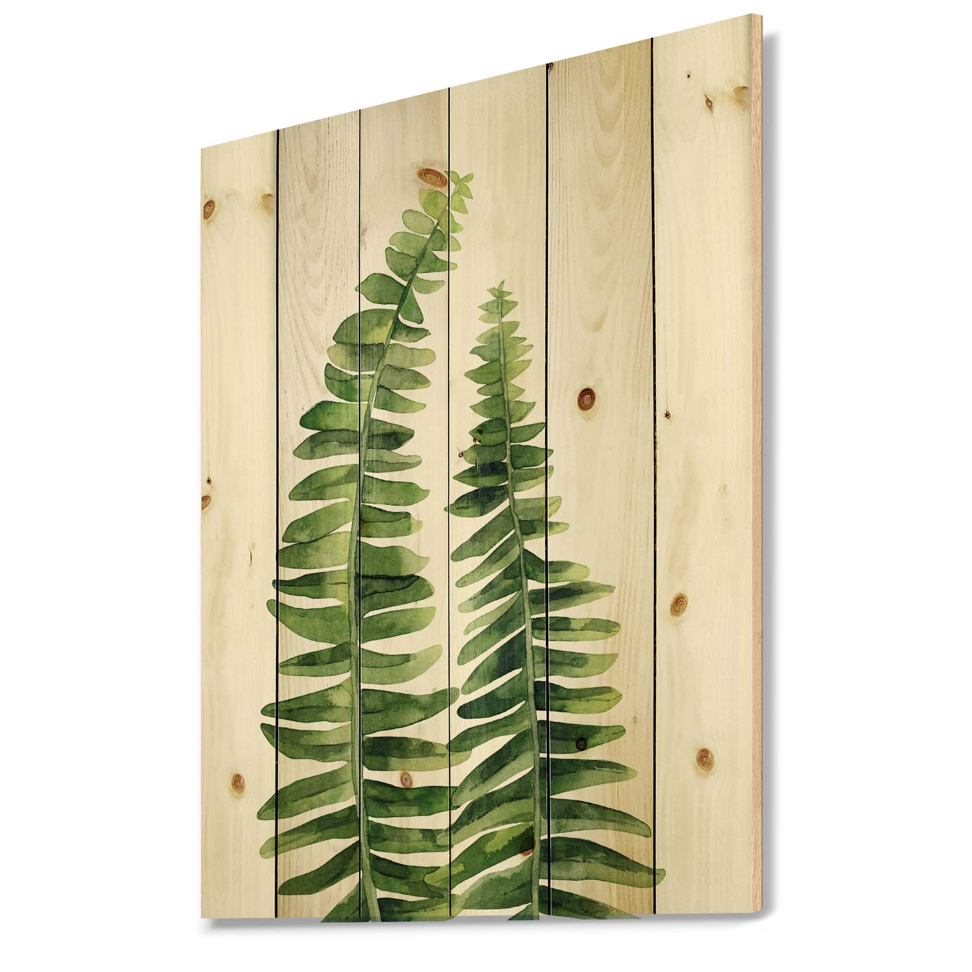 Designart - Fern Leaves Detail IV