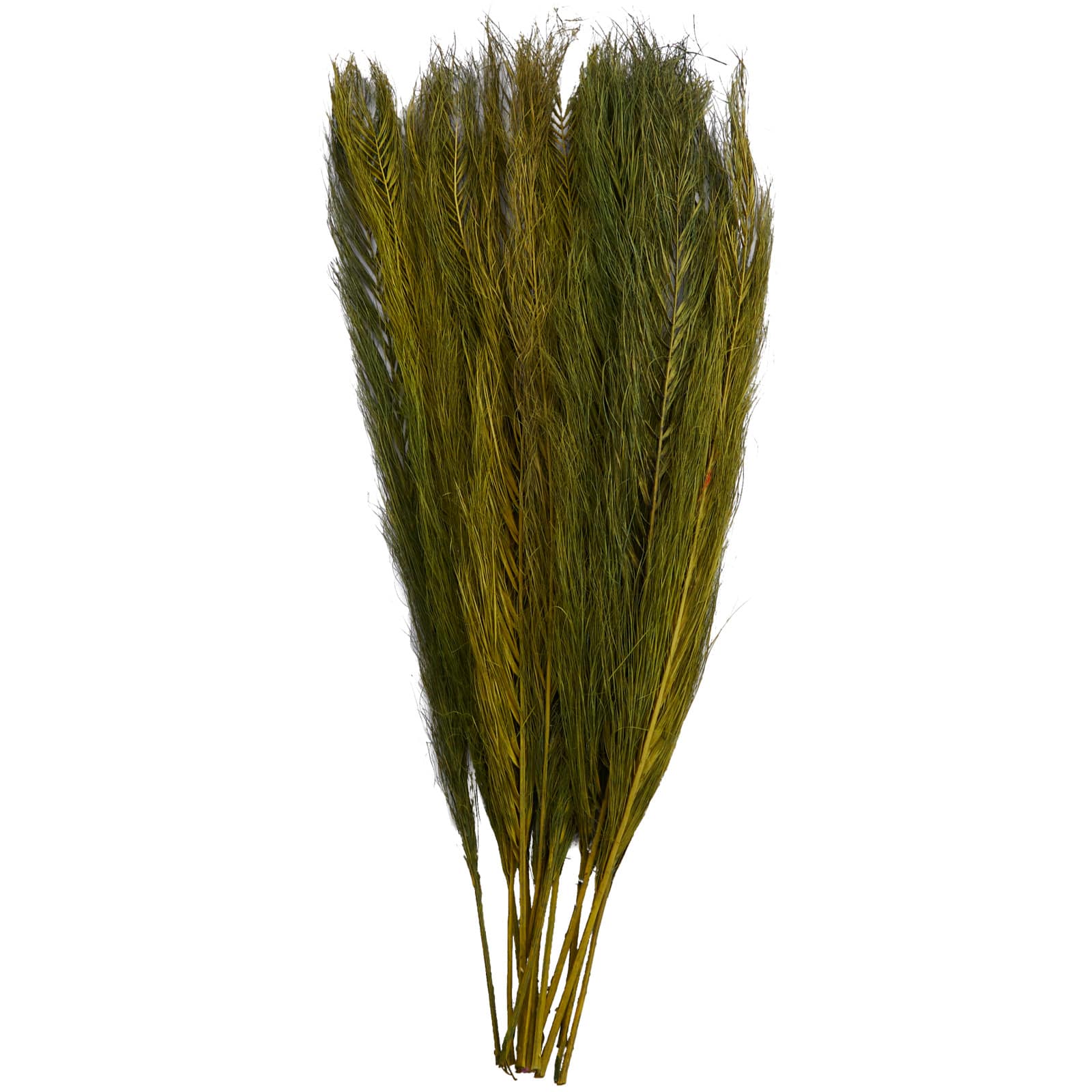 35" Natural Dried Palm Leaf Bundle with Feather-Inspired Stems