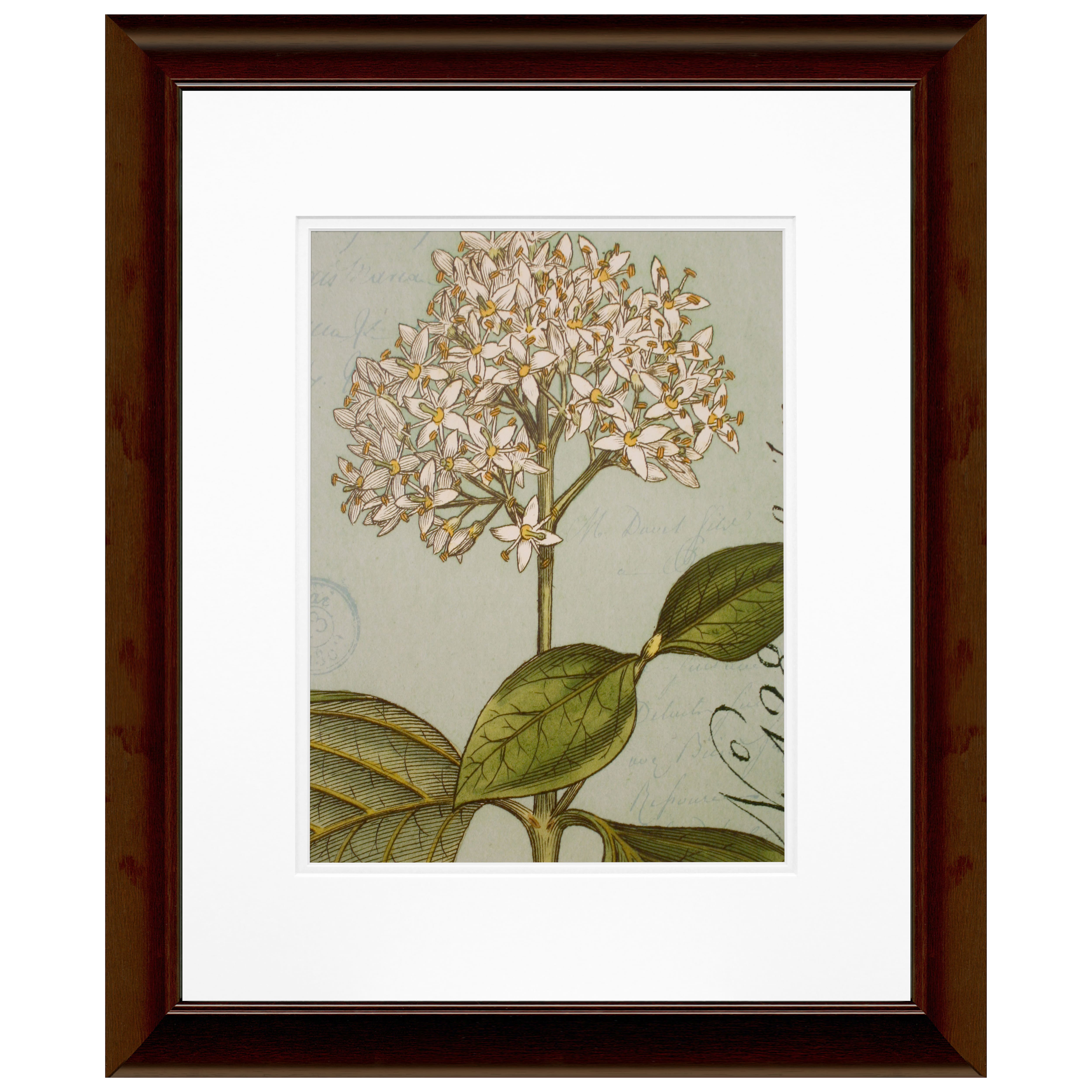 Timeless Frames® Botanique Blue IV Framed Wall Art