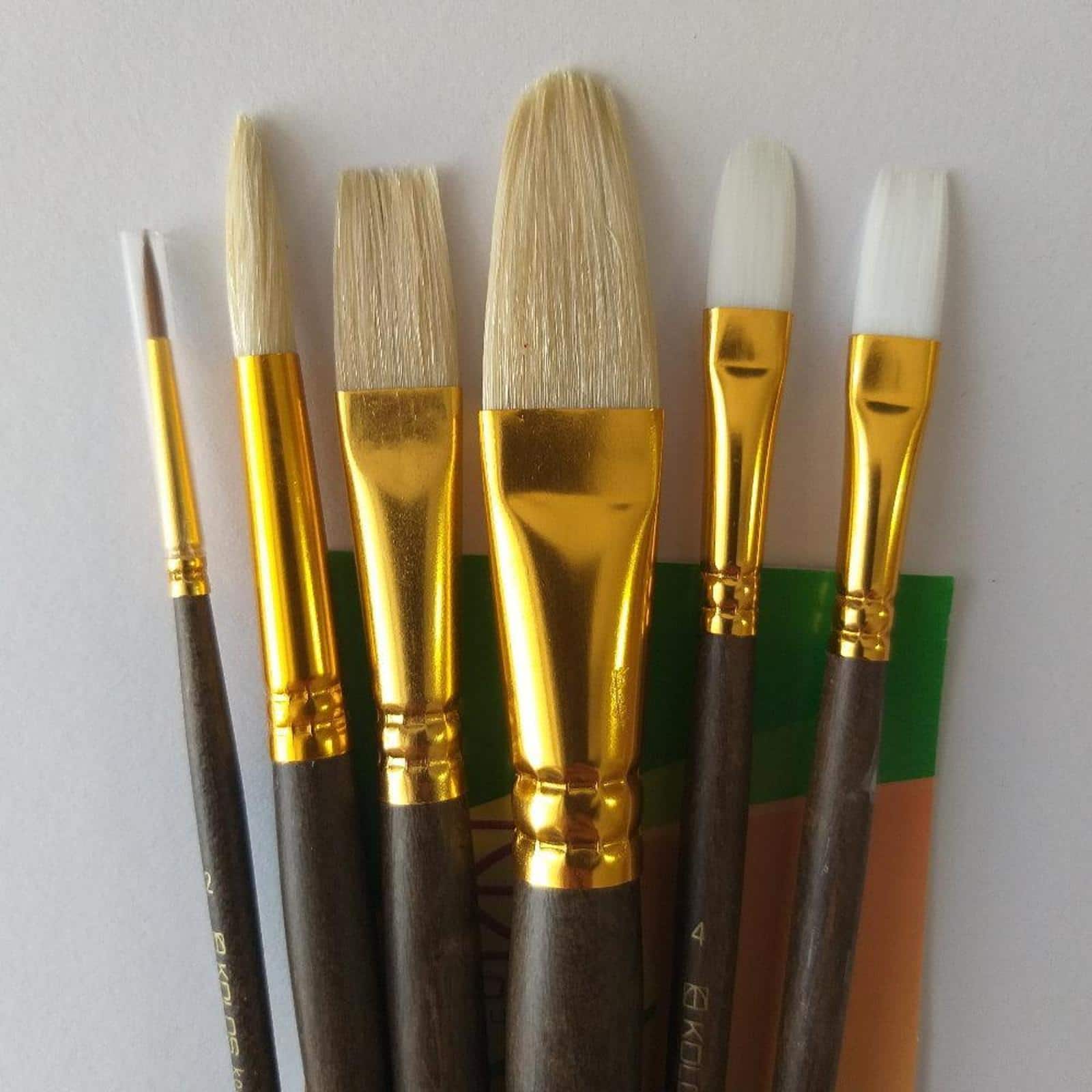 Rosa Kolos 6 Piece Synthetic & Bristle Round, Flat & Oval Paint Brushes Set 7068