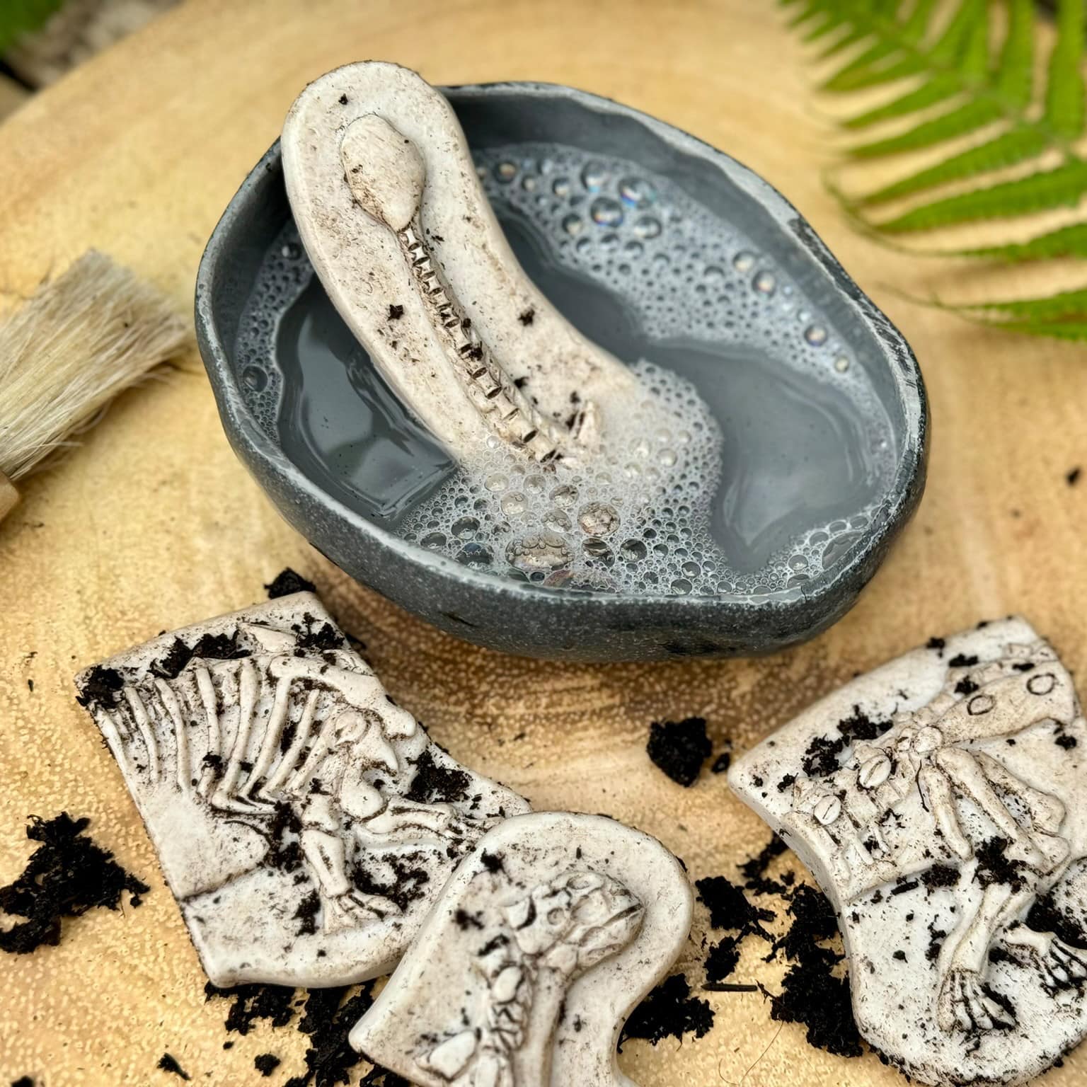 Yellow Door Dig & Discover Dinosaur Skeletons Set