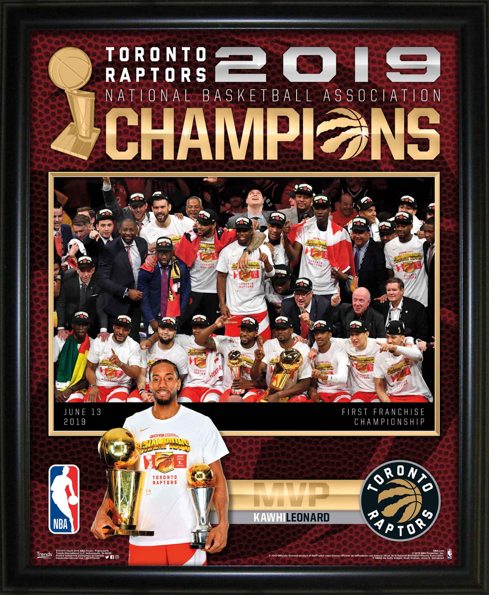 Toronto Raptors Framed 16" x 20" 2019 World Champions Collage 18" x 22"