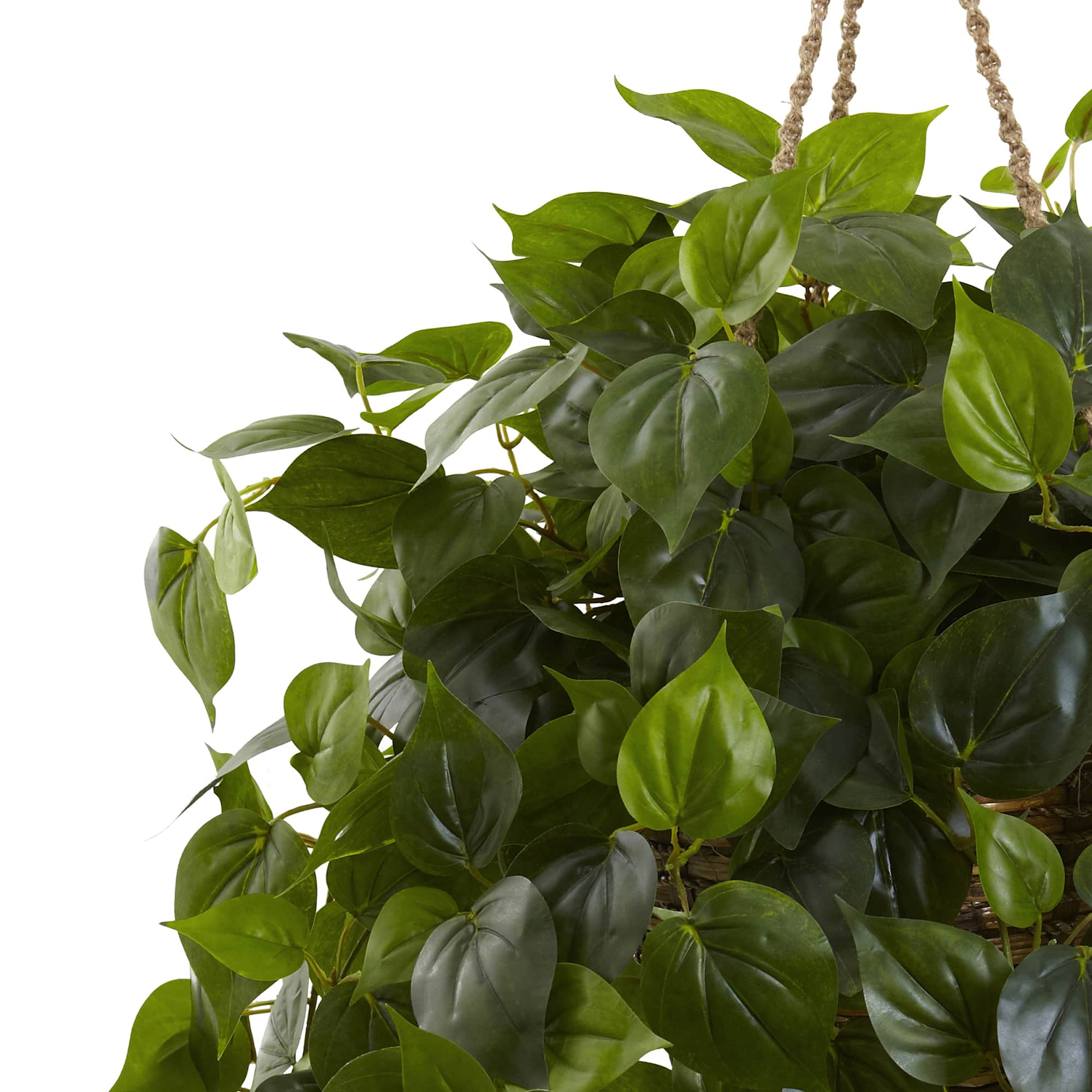 3ft. Philo Plant Hanging Basket