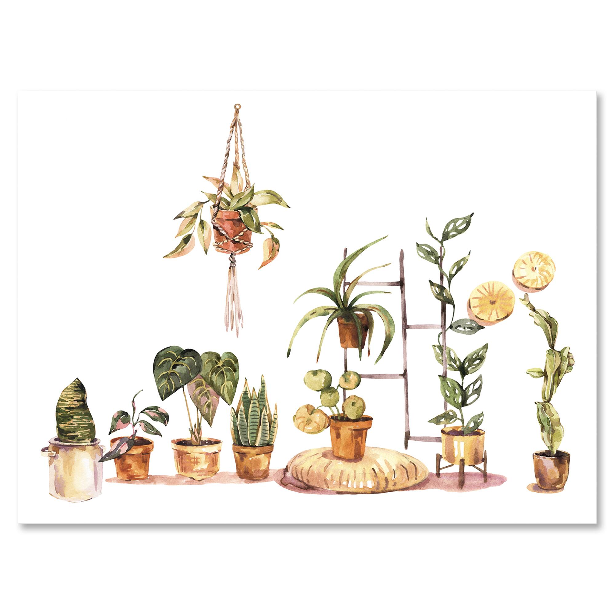 Designart - Indoor House Plants Urban Jungle II - Traditional Canvas Wall Art Print