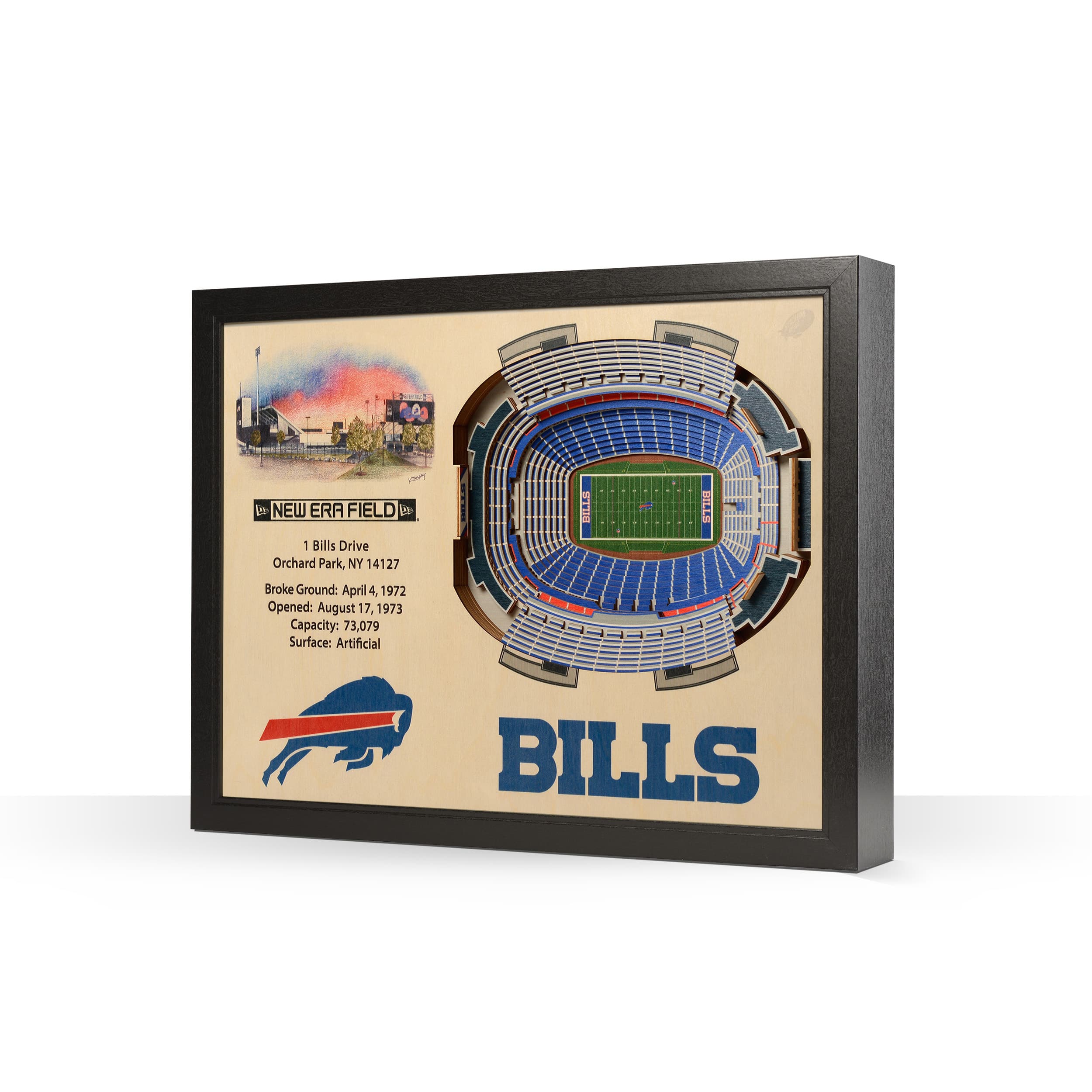 NFL 25 Layer StadiumView Wall Art