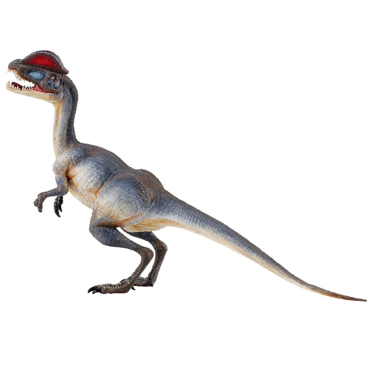 Safari Ltd® Dilophosaurus