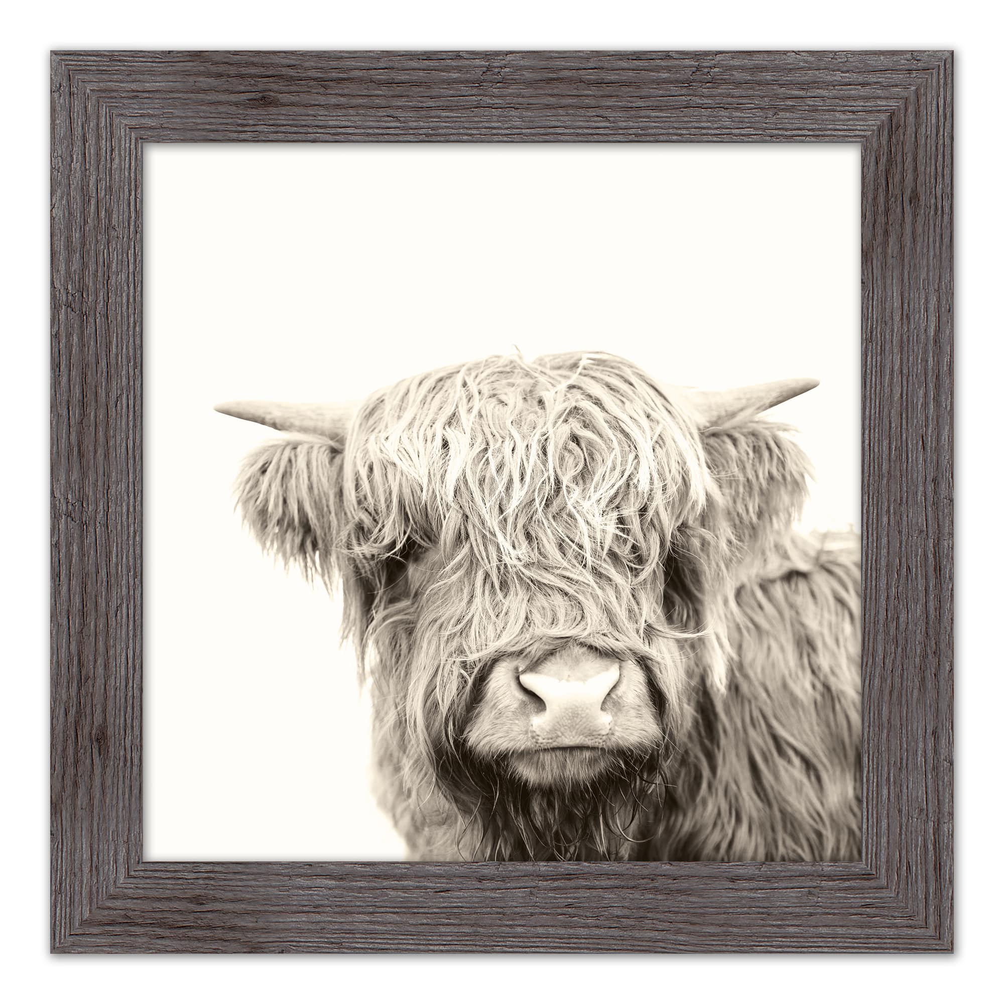 Shaggy Bangs Highland Cow Framed Print Wall Hanging