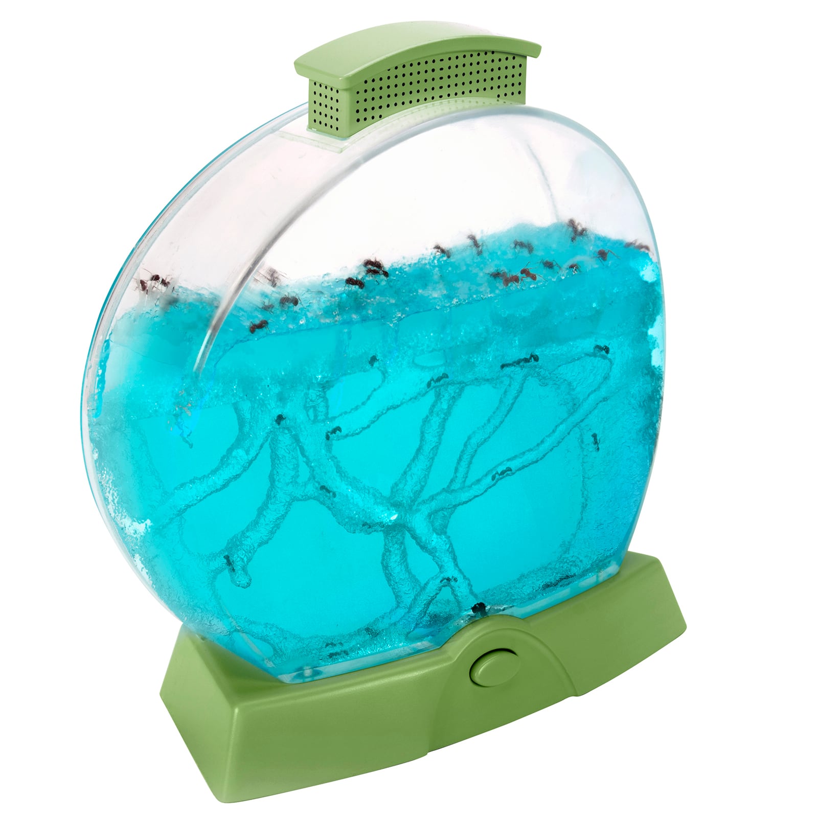 Educational Insights® Geosafari® Day 'N' Night Ant Factory