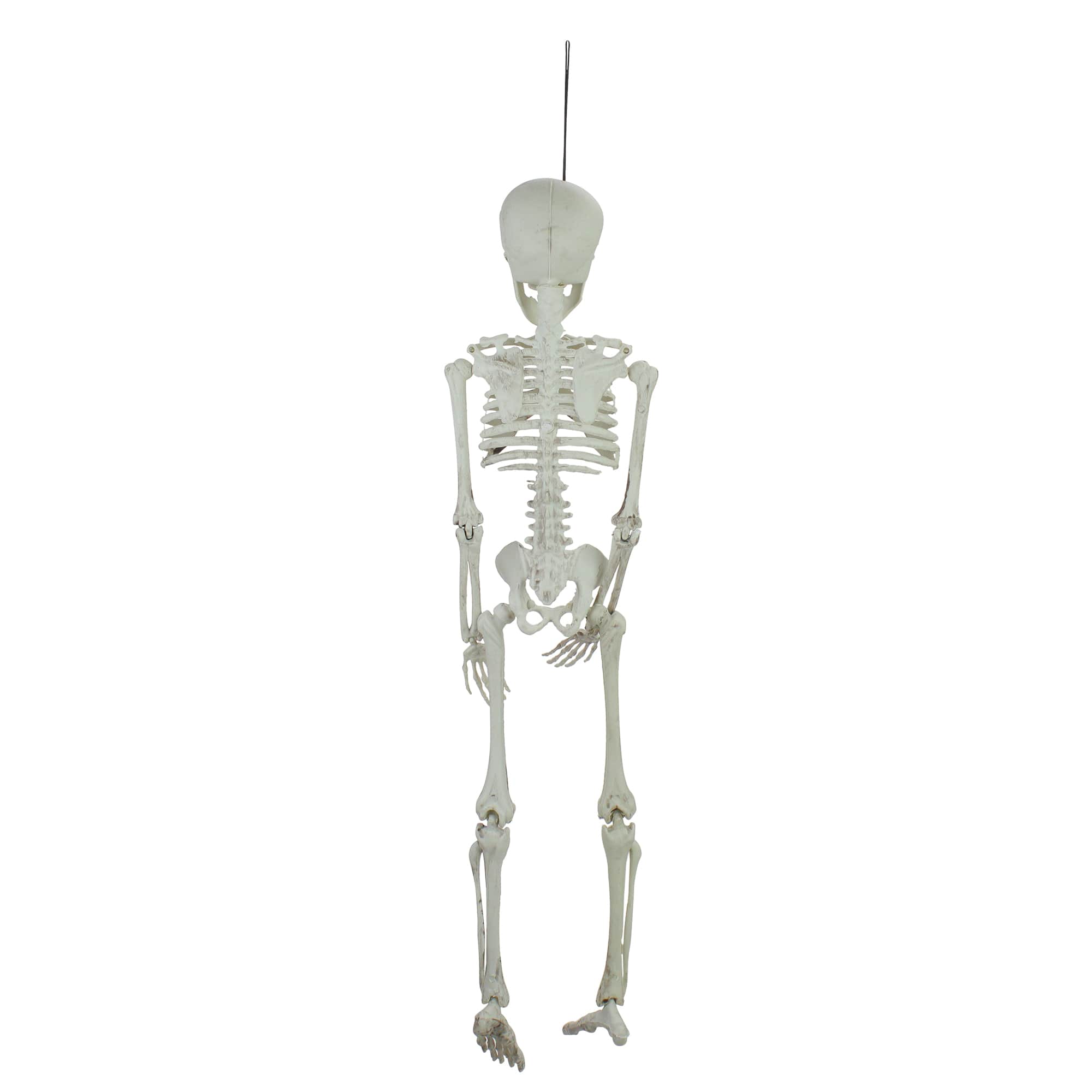 20" Jointed Skeleton Hanging Halloween Decoration