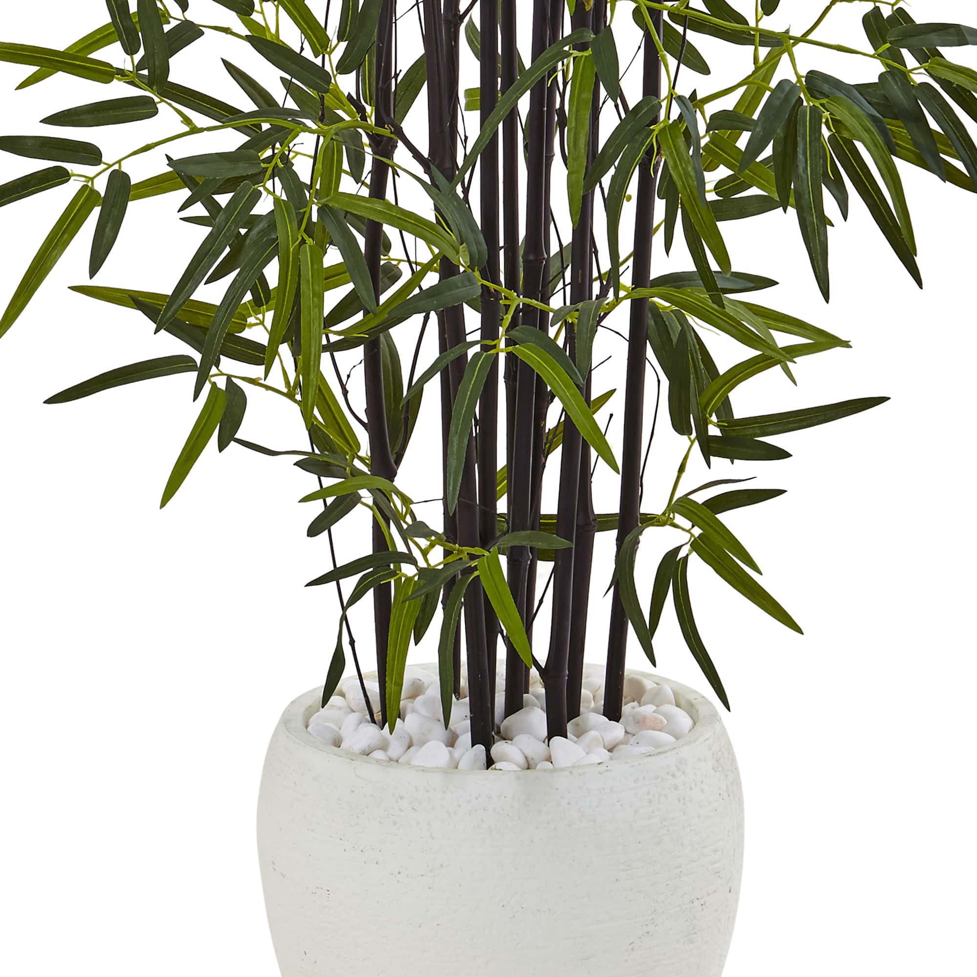5ft. Black Bamboo Tree in White Oval Planter