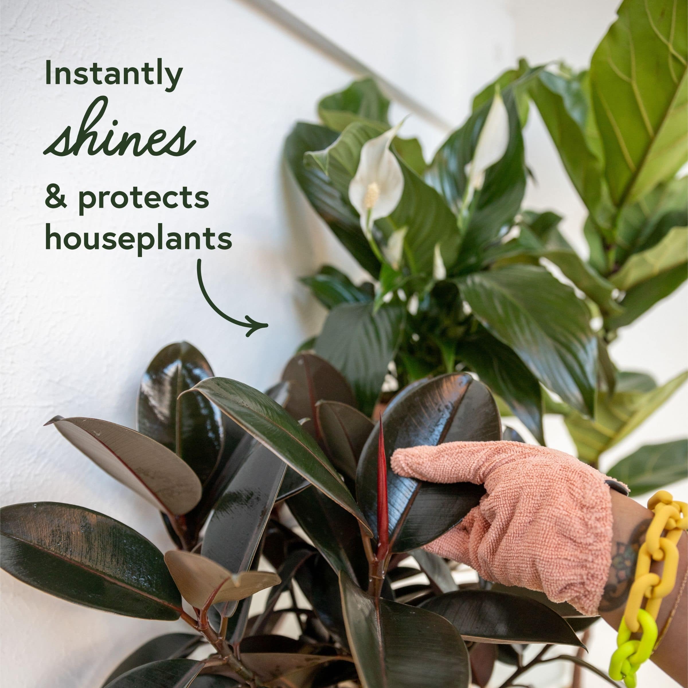 We The Wild™ Proud Plant Mum Leaf Care Kit