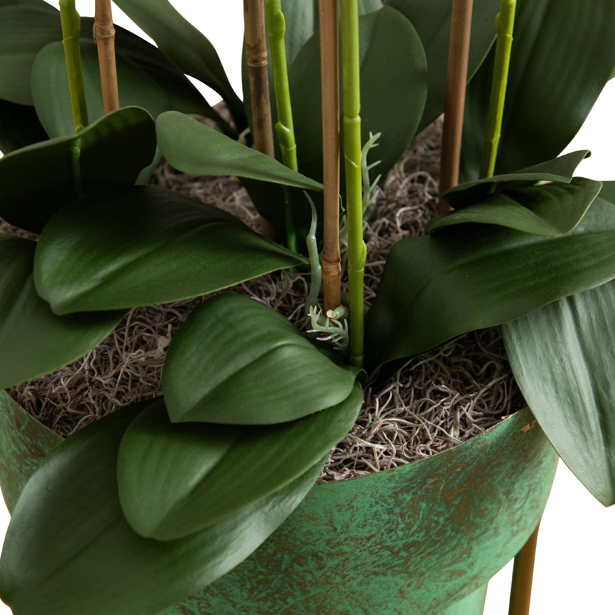 3.5ft. White Orchid Arrangement in Patina Metal Planter with Stand