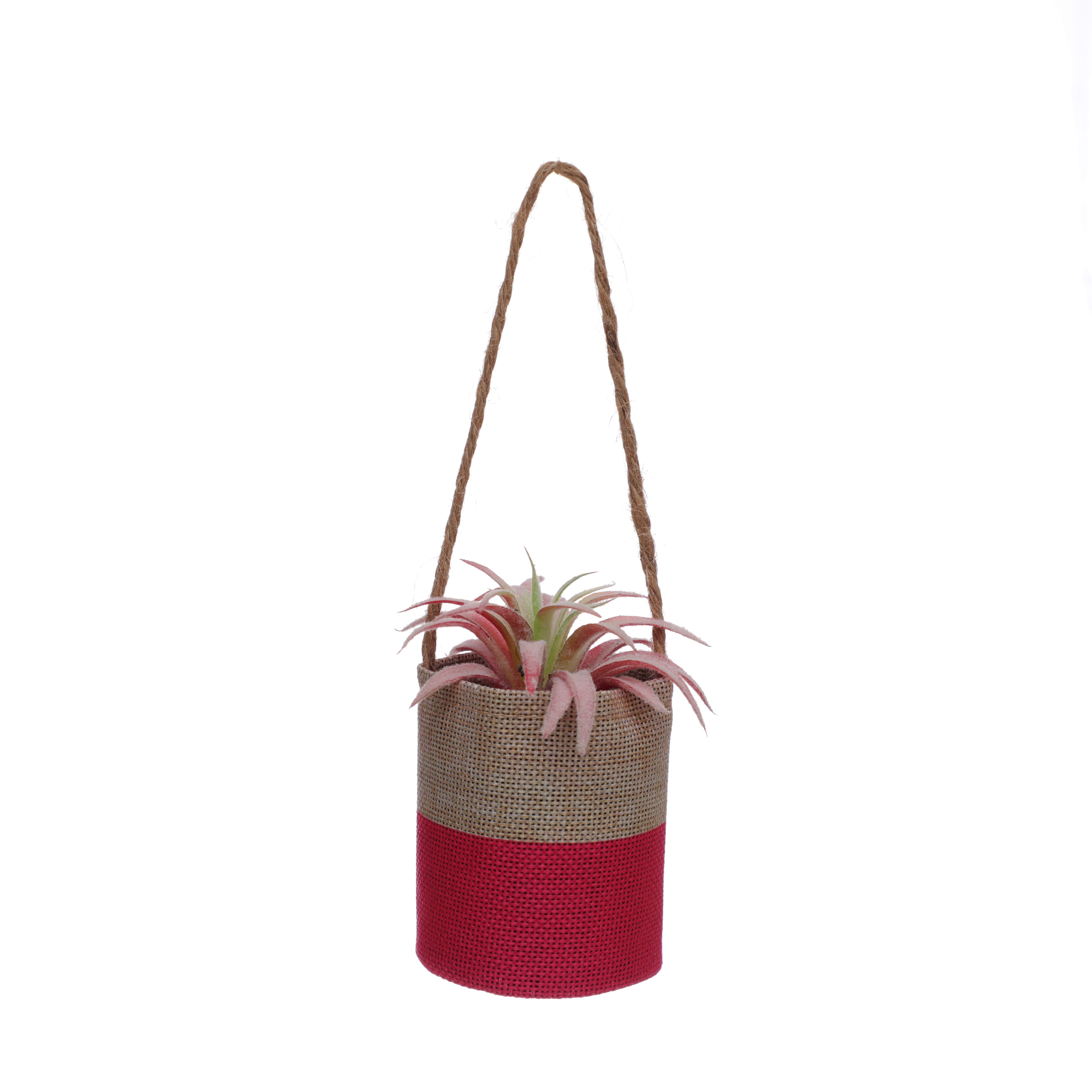 6" Tilandsia in Hanging Pink Planter by Ashland®