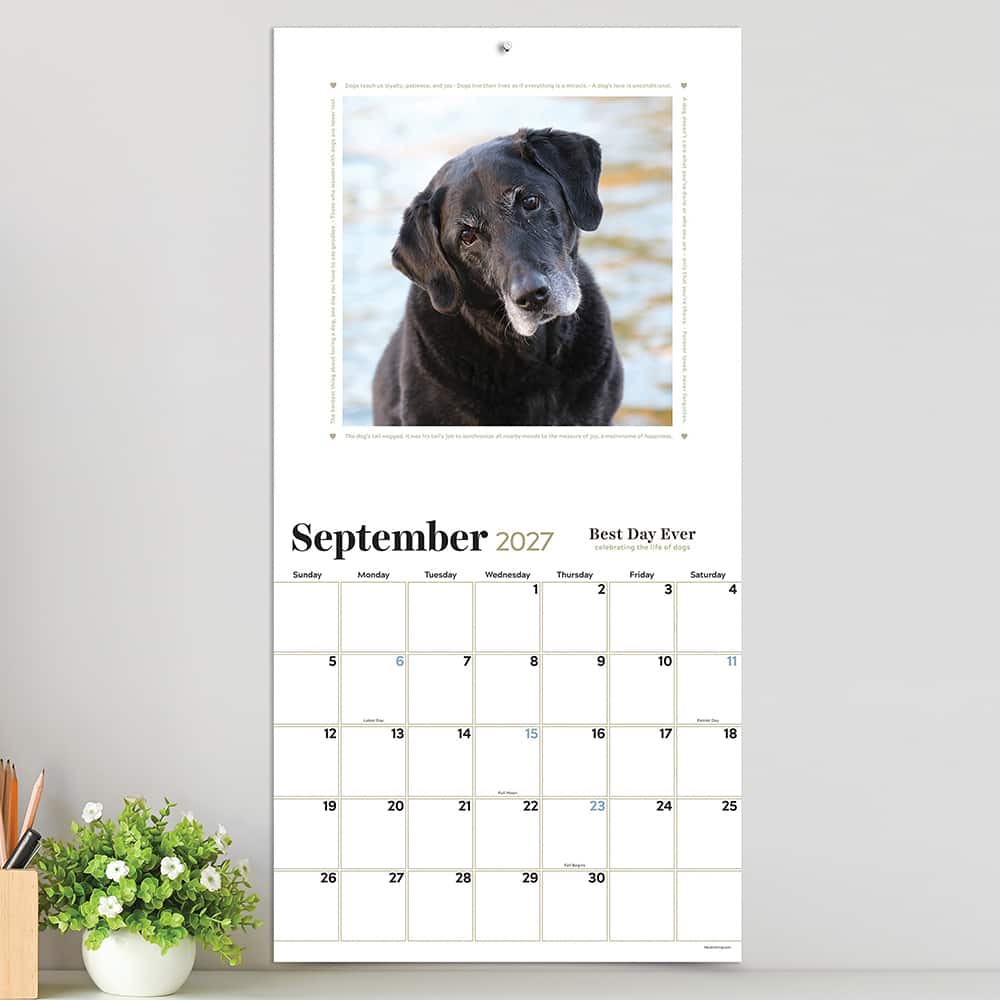 2027 Best Day Ever: Celebrating The Life of Dogs Wall Calendar