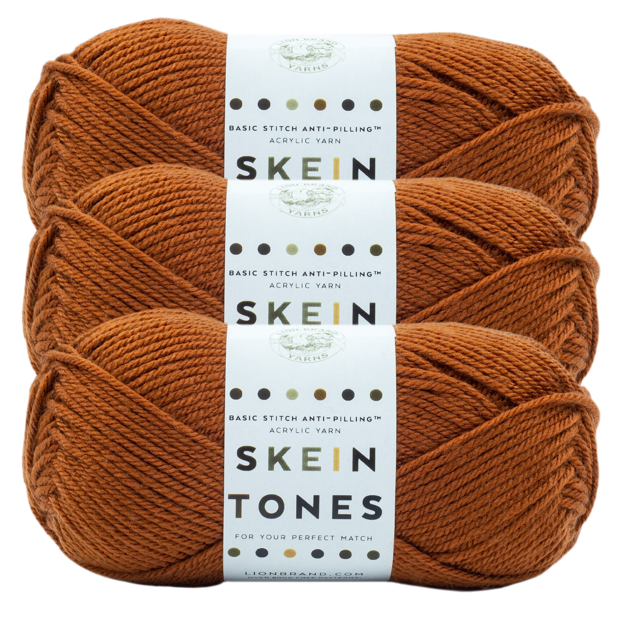 3 Pack Lion Brand® Basic Stitch Anti Pilling™ Skein Tones Yarn