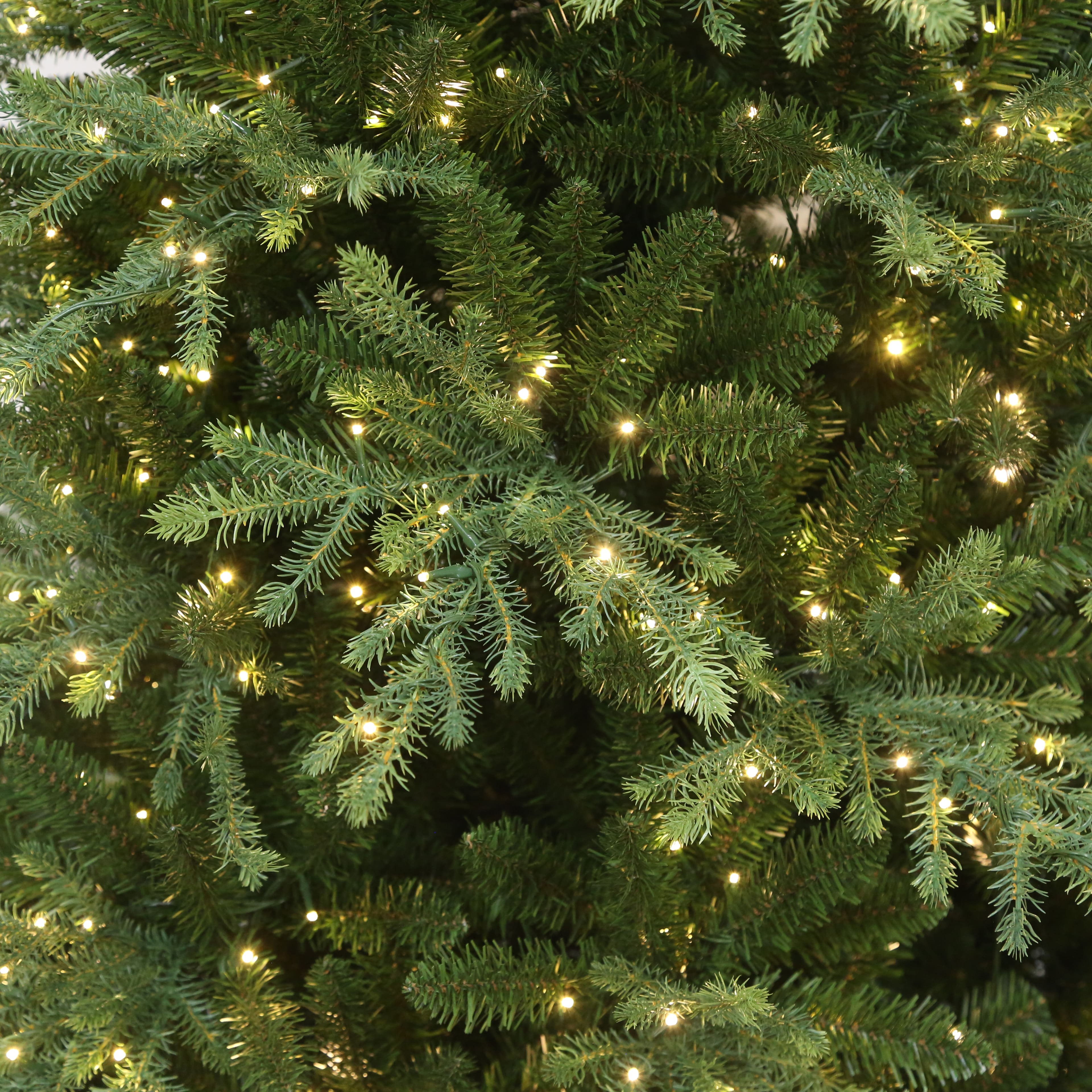 7.5ft. Pre-Lit Charlotte Spruce Realistic Artificial Christmas Tree, Color Changing Mini LED Lights by Ashland®