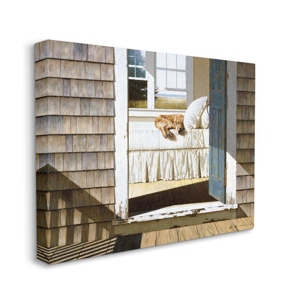 Stupell Industries Dog Nap at Cape House Wall Art