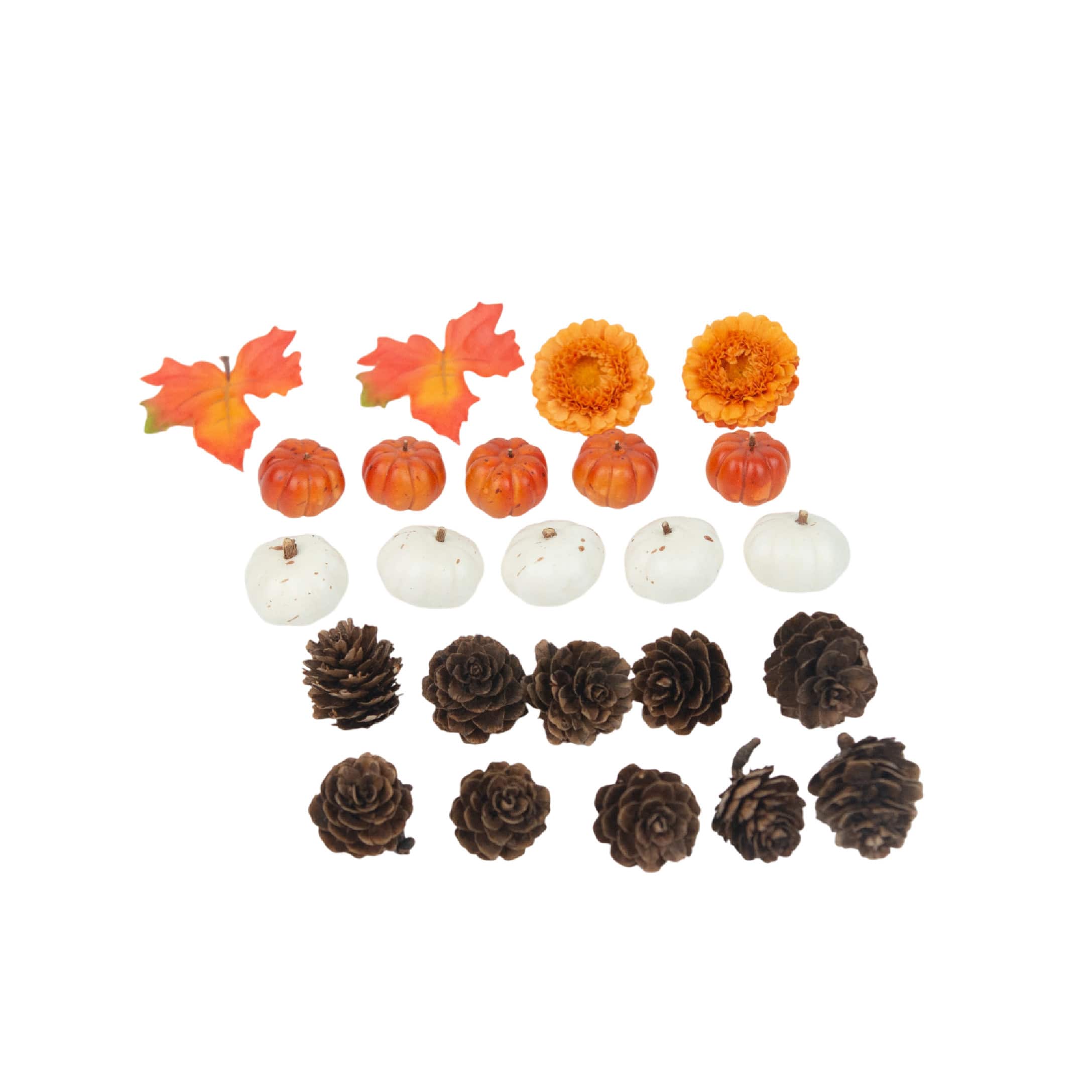 Orange & Pumpkin, Pinecone