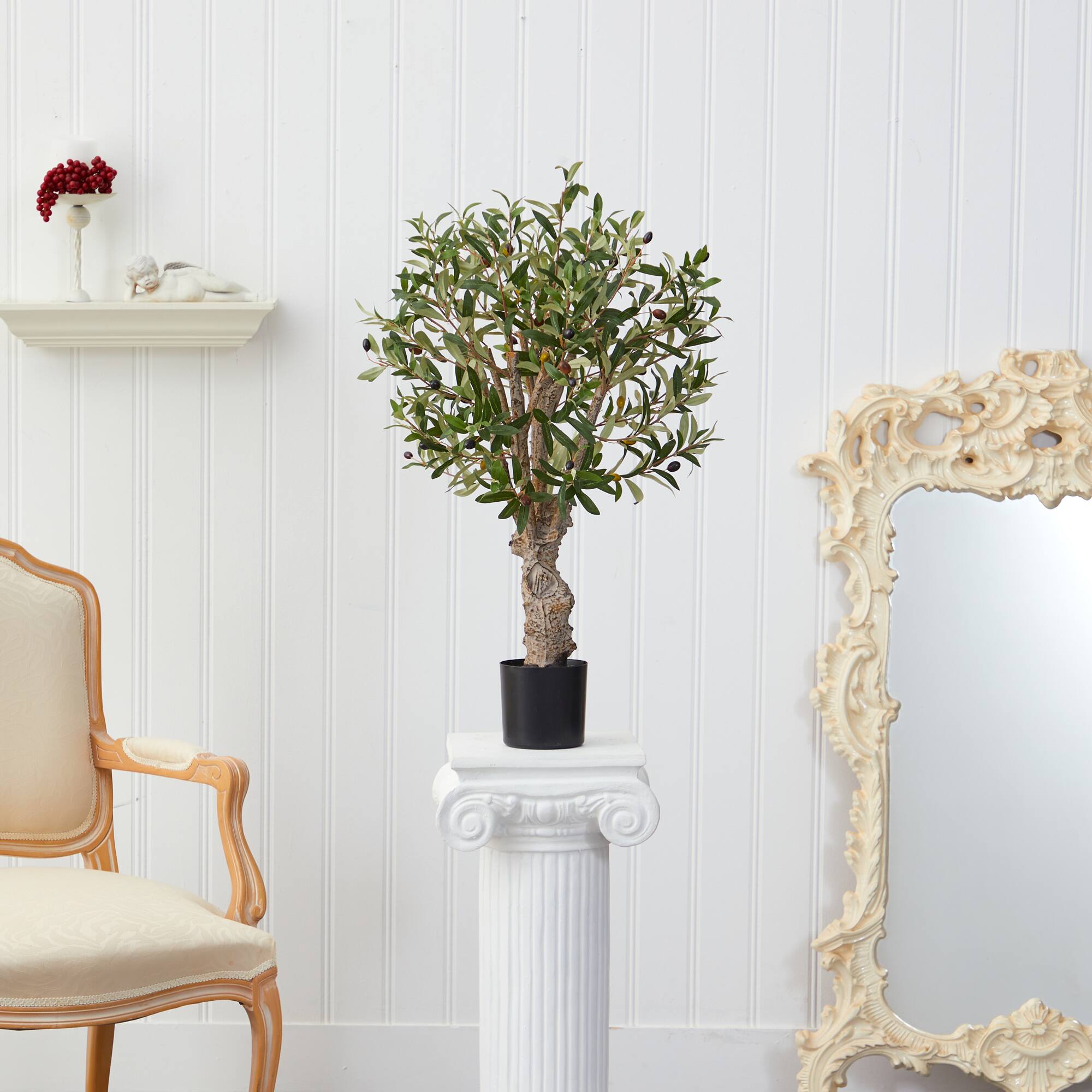 2ft. Potted Olive Tree