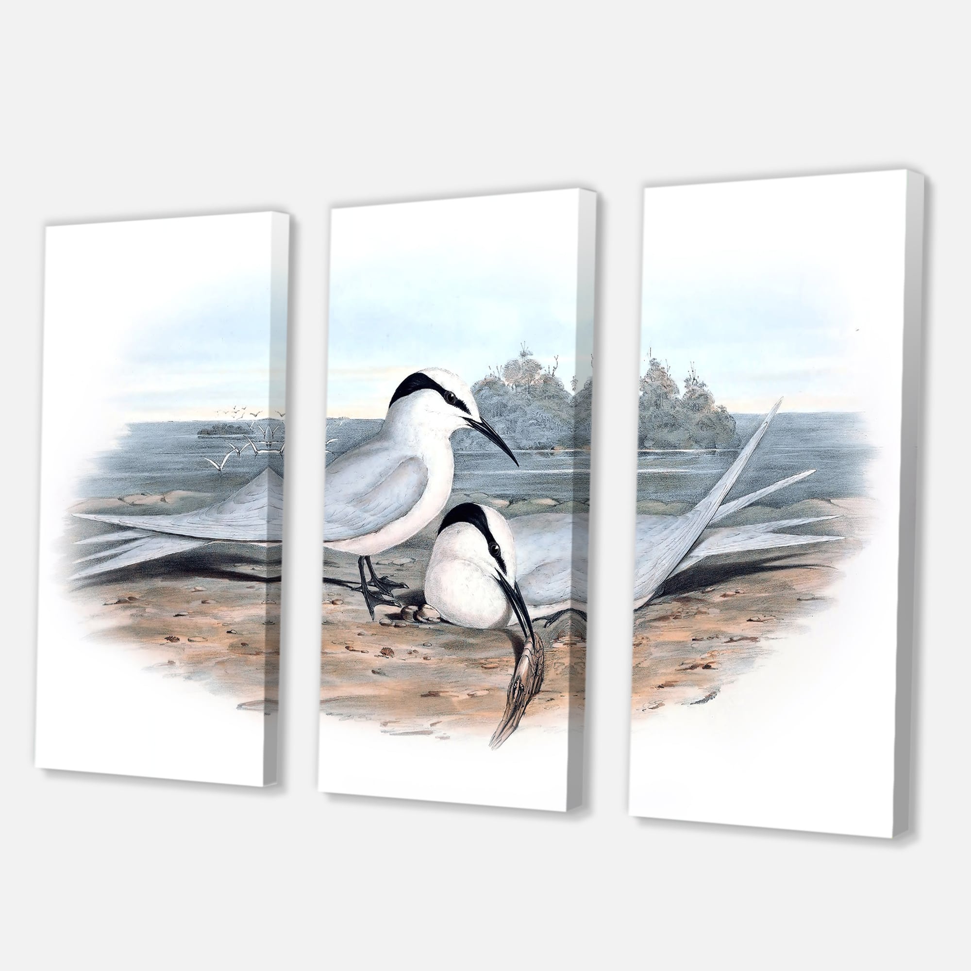 Designart - Vintage Birds In The Wild IX