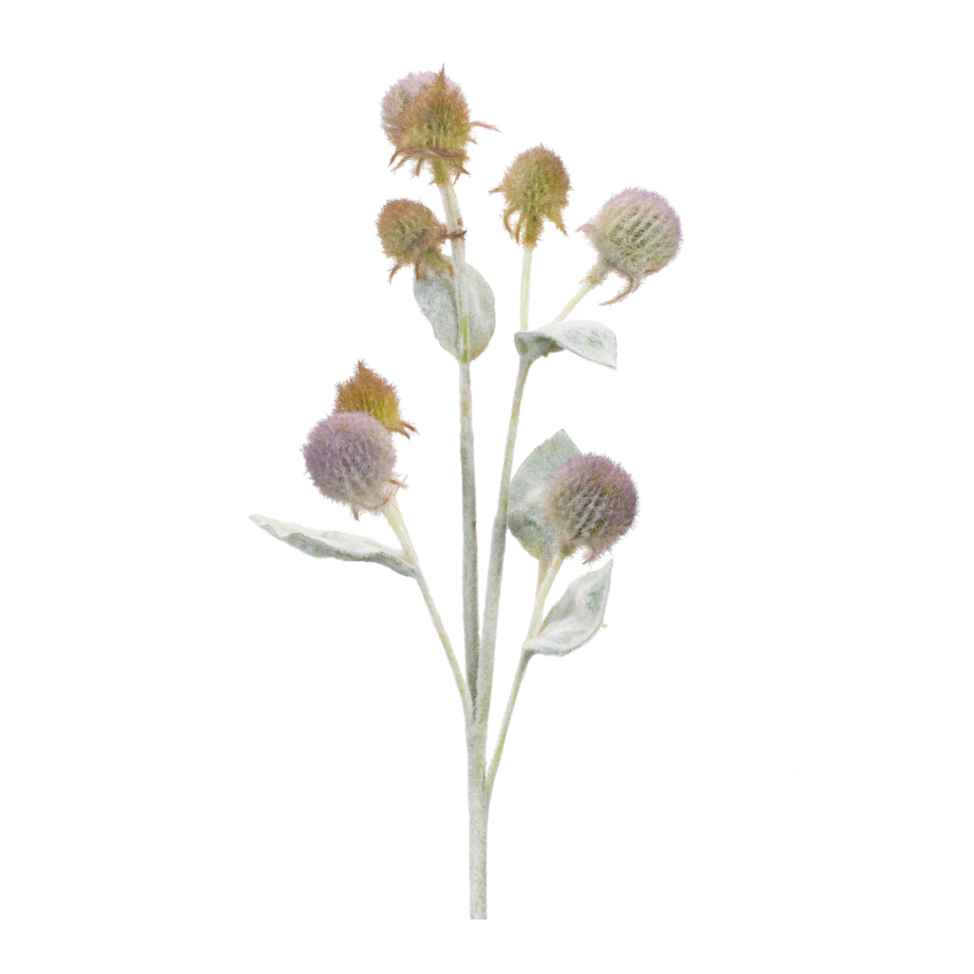 27.5" Thistle Foliage Sprays, 6ct.