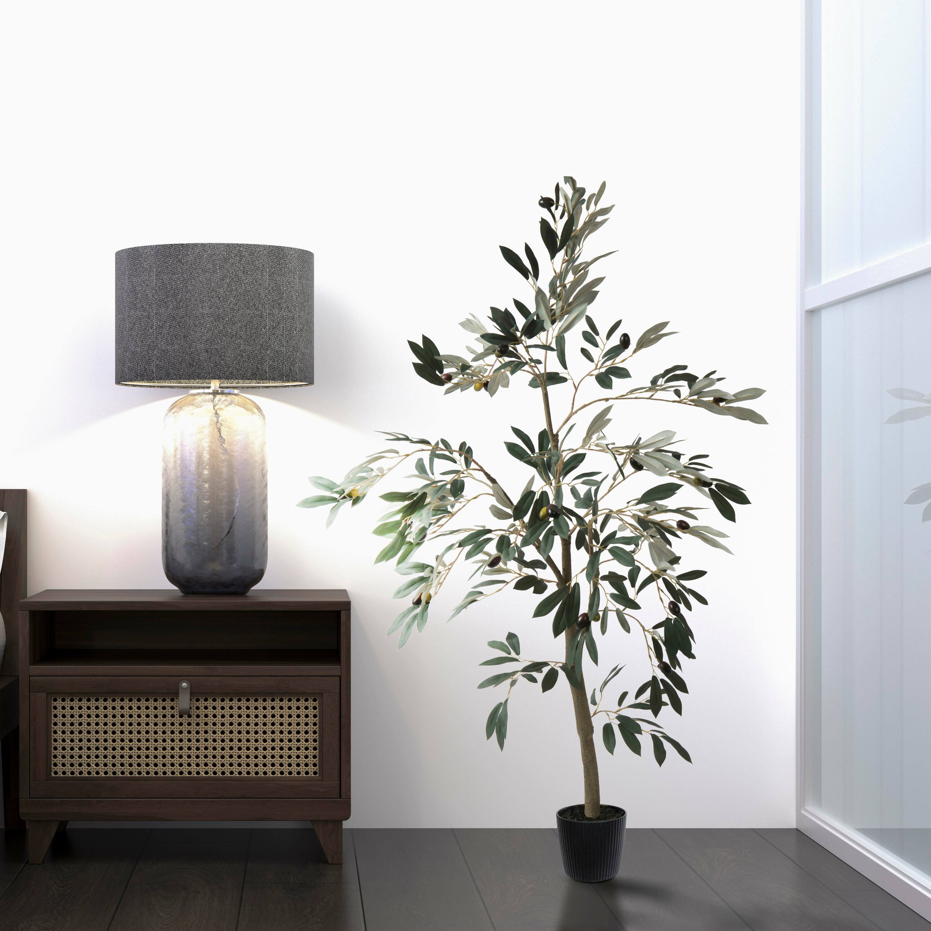 4ft. Potted Olive Tree