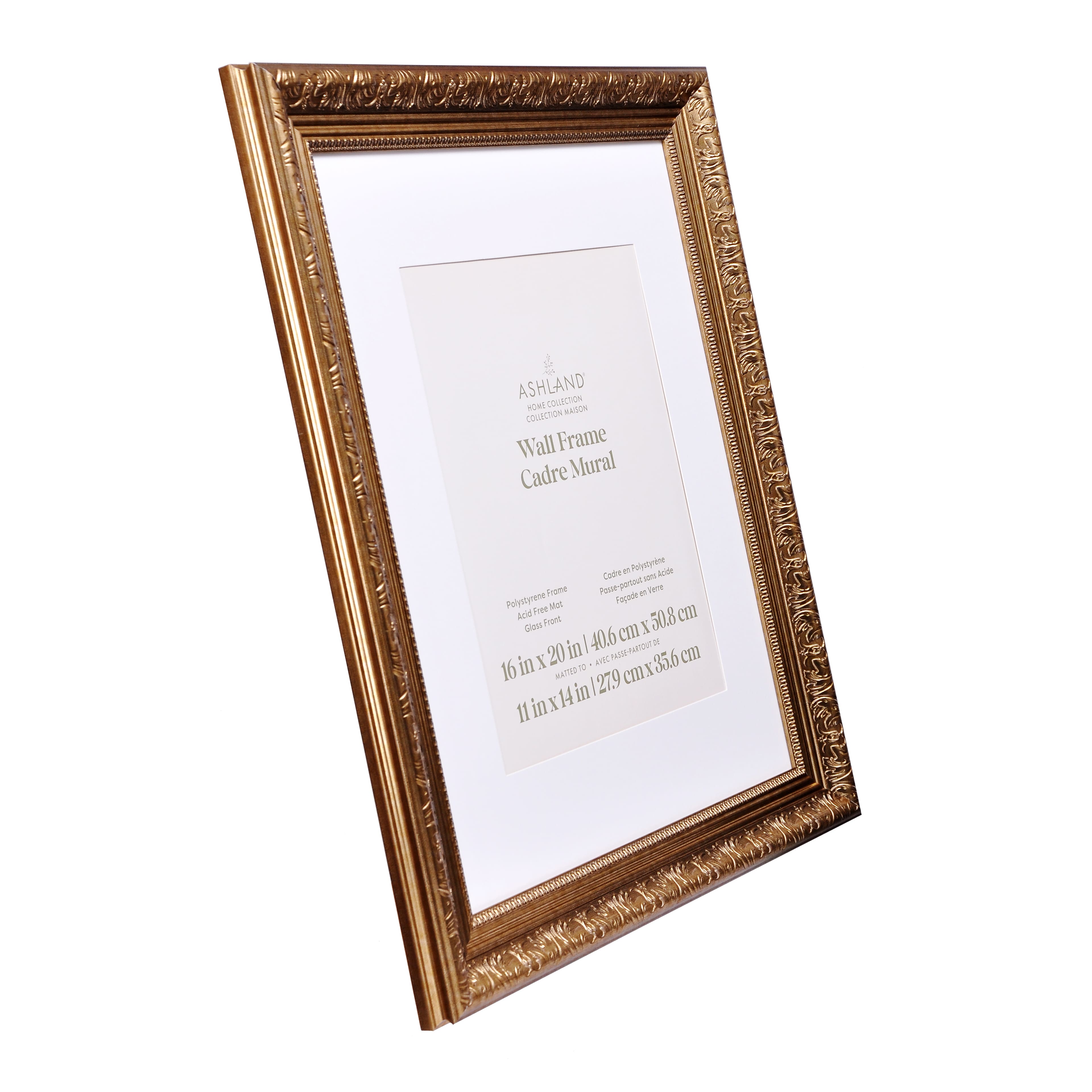 Home Gold Ornate Botanical Frame with Mat by Ashland