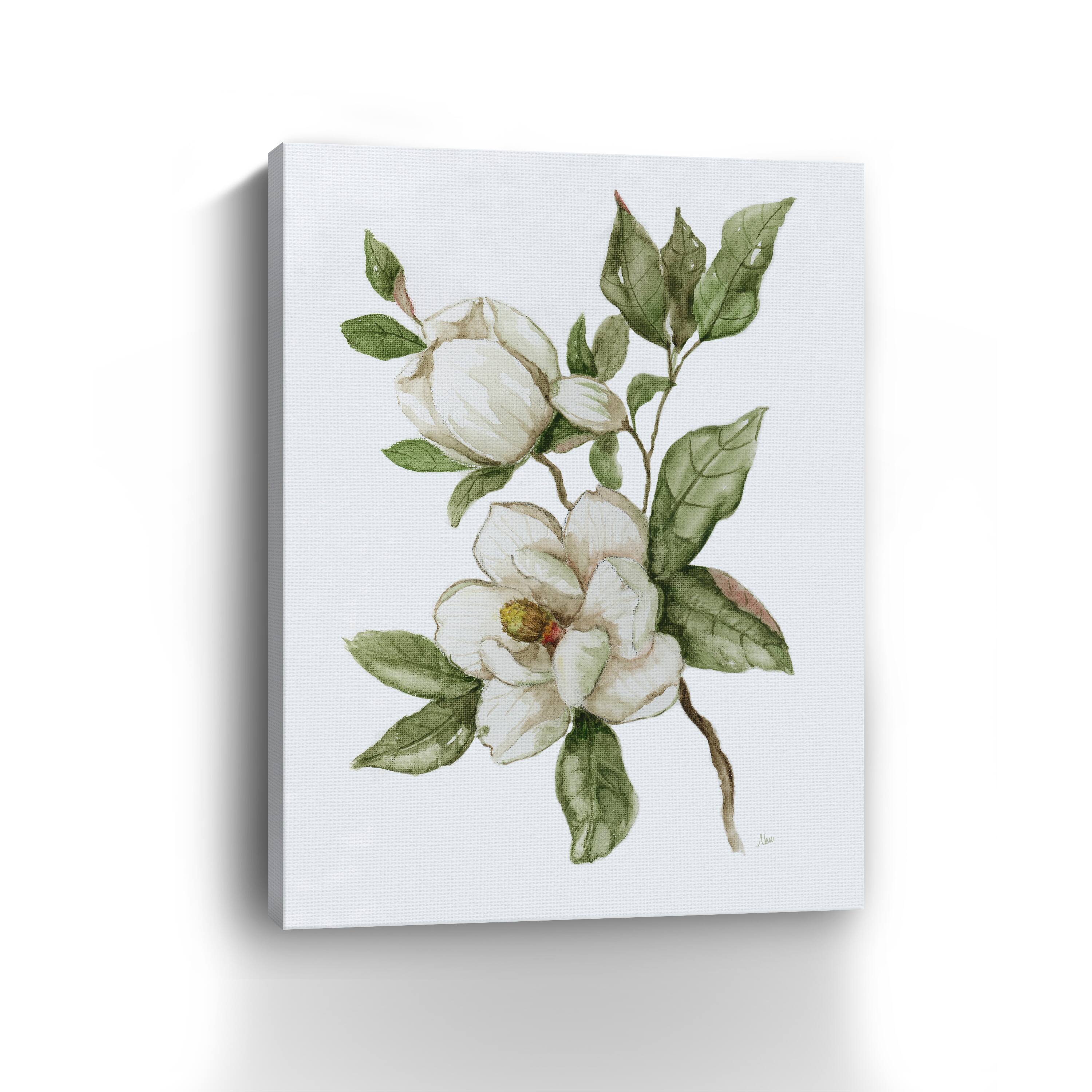 Magnolia Morning II Canvas Giclee