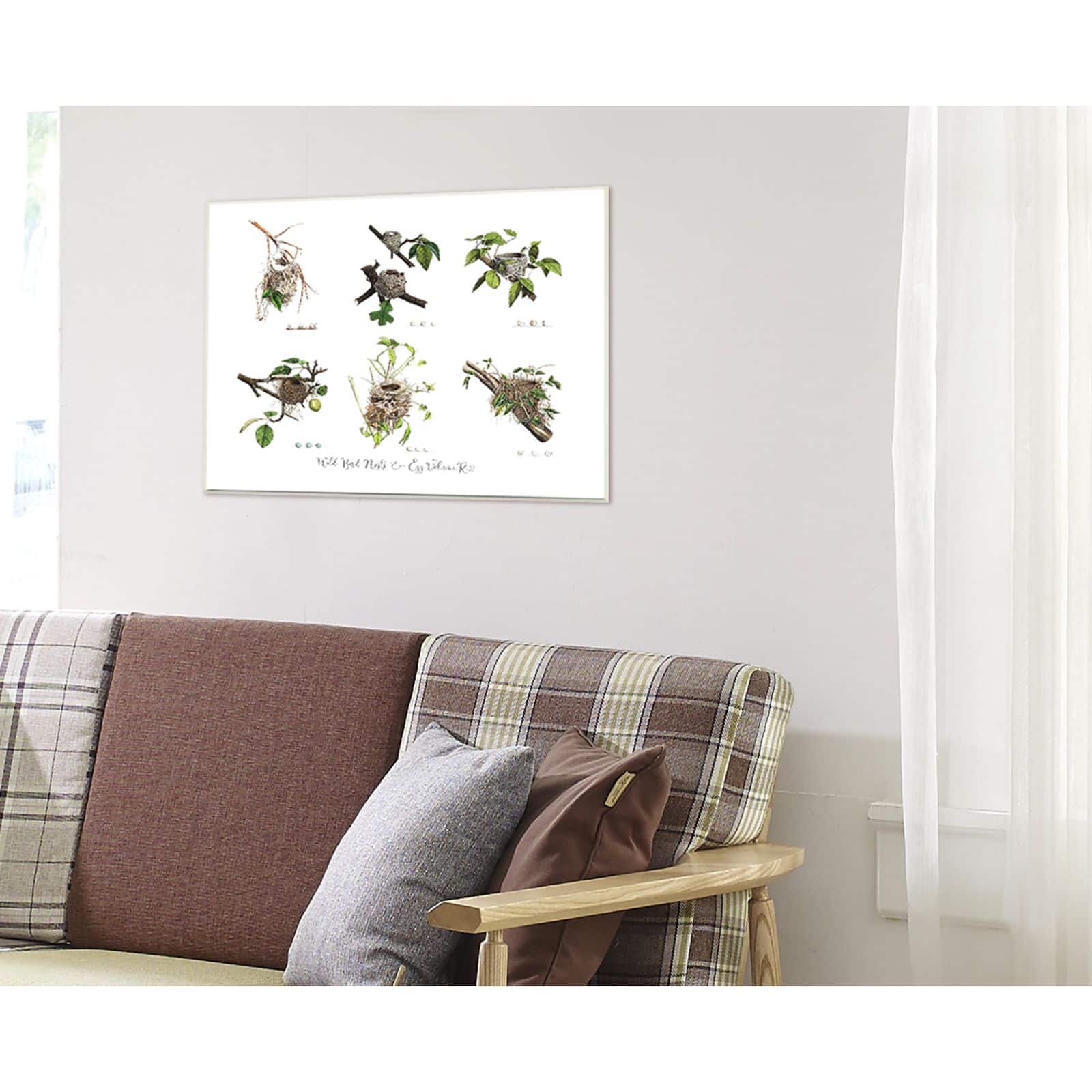 Stupell Industries Bird Nest Identification Wall Plaque