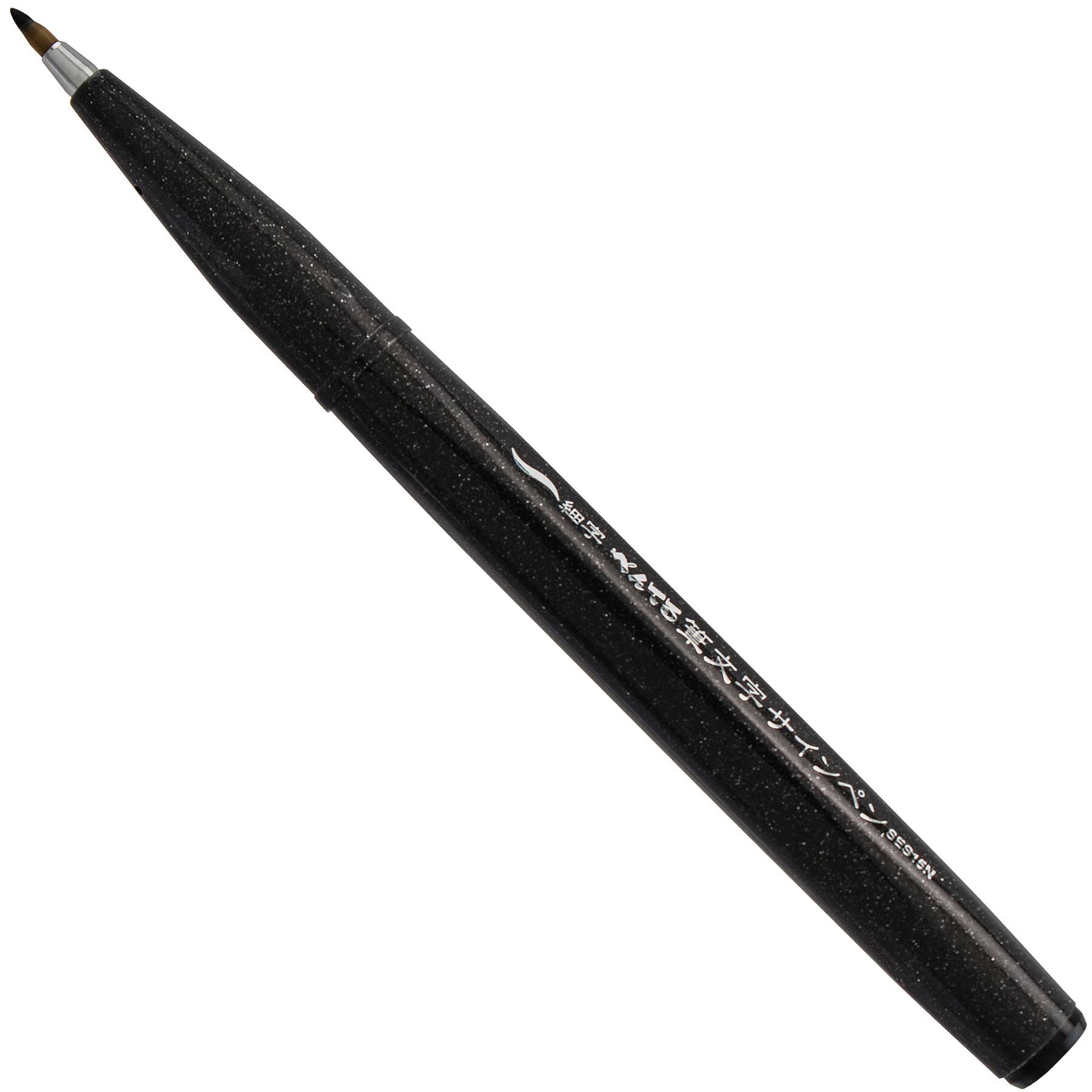 Pentel® Sign Pen® Black Ink Brush Tip Pens, 12ct.