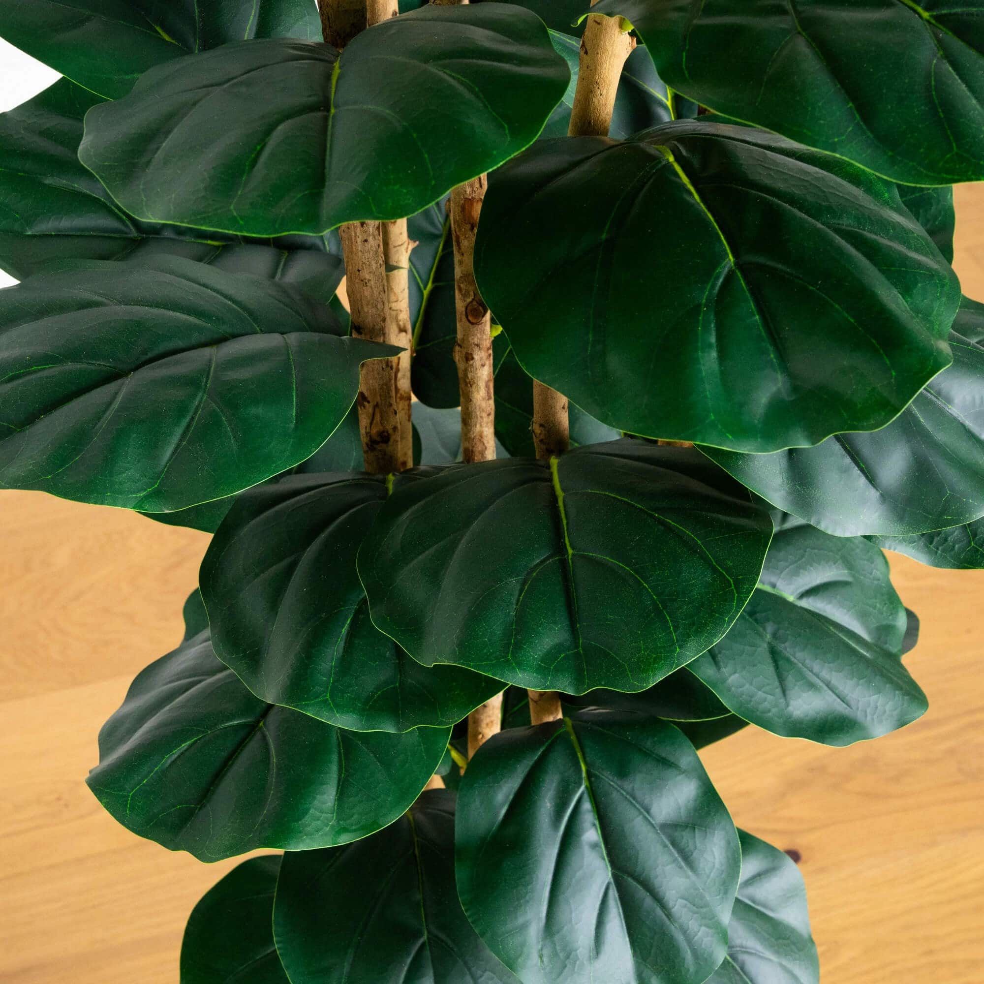 8ft. Artificial Fiddle Leaf Tree in Decorative White Planter