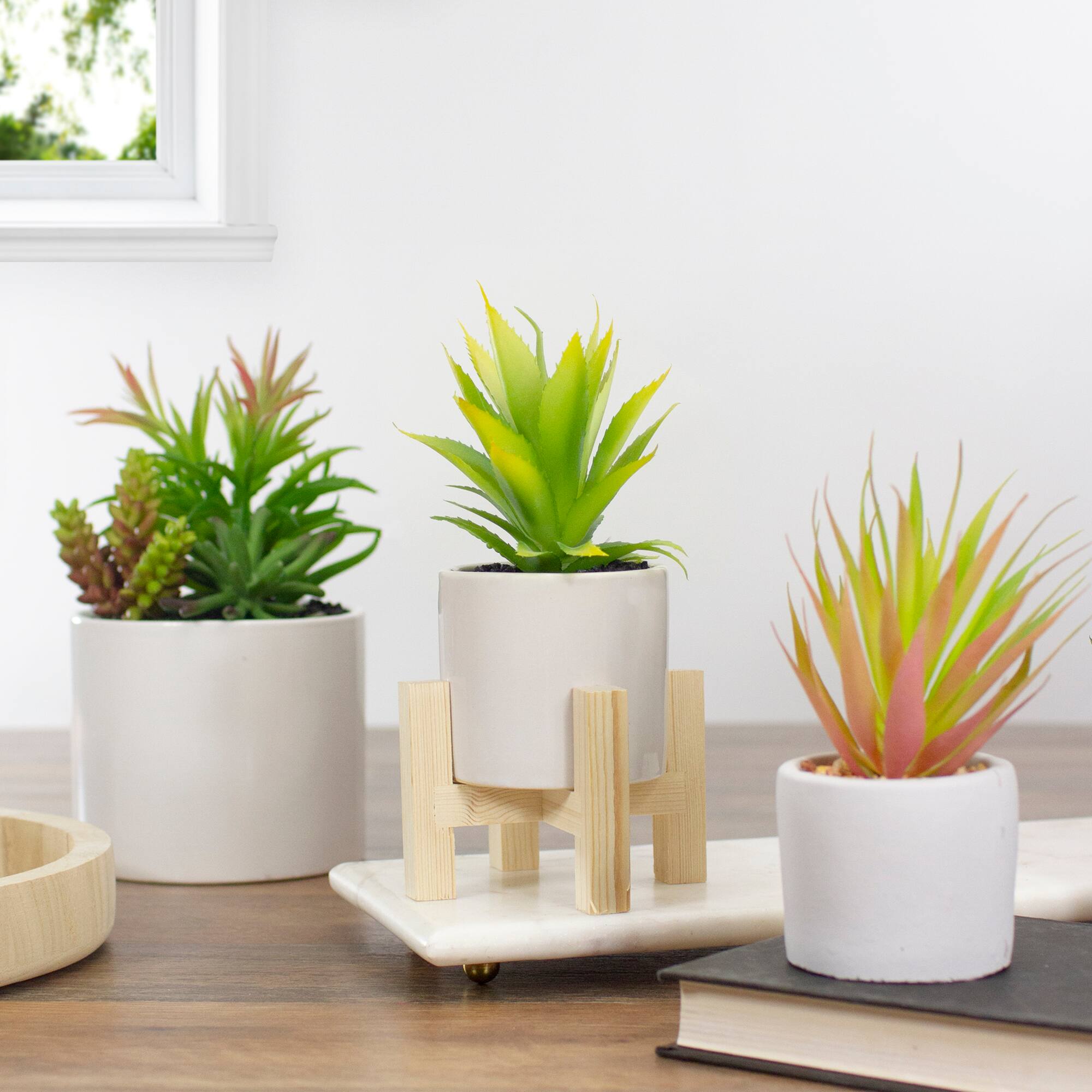 8.25" Potted Green Agave Plant with Wooden Stand