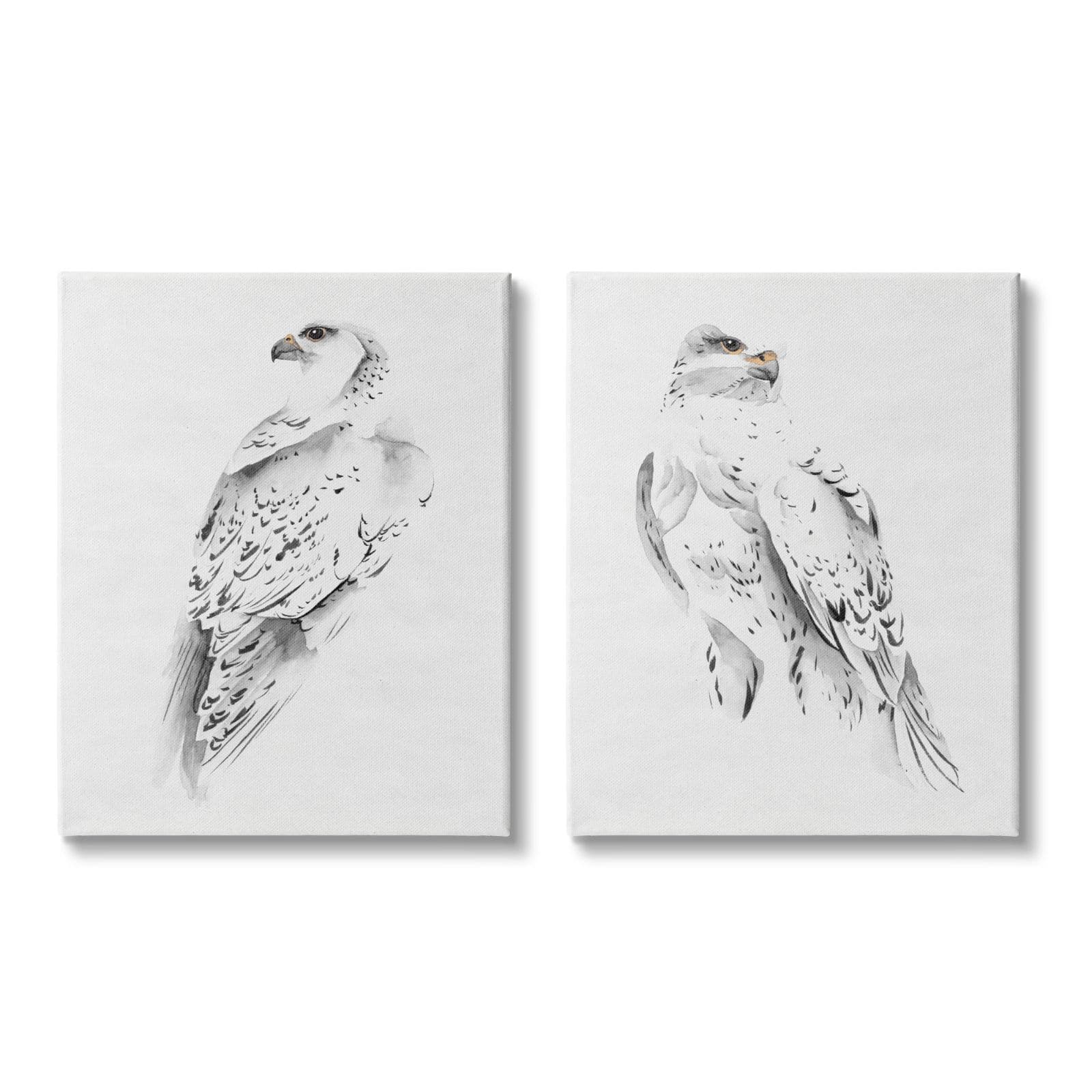 Stupell Industries White Hawk Winter Birds Soft Speckled Feathers  Canvas Wall Art
