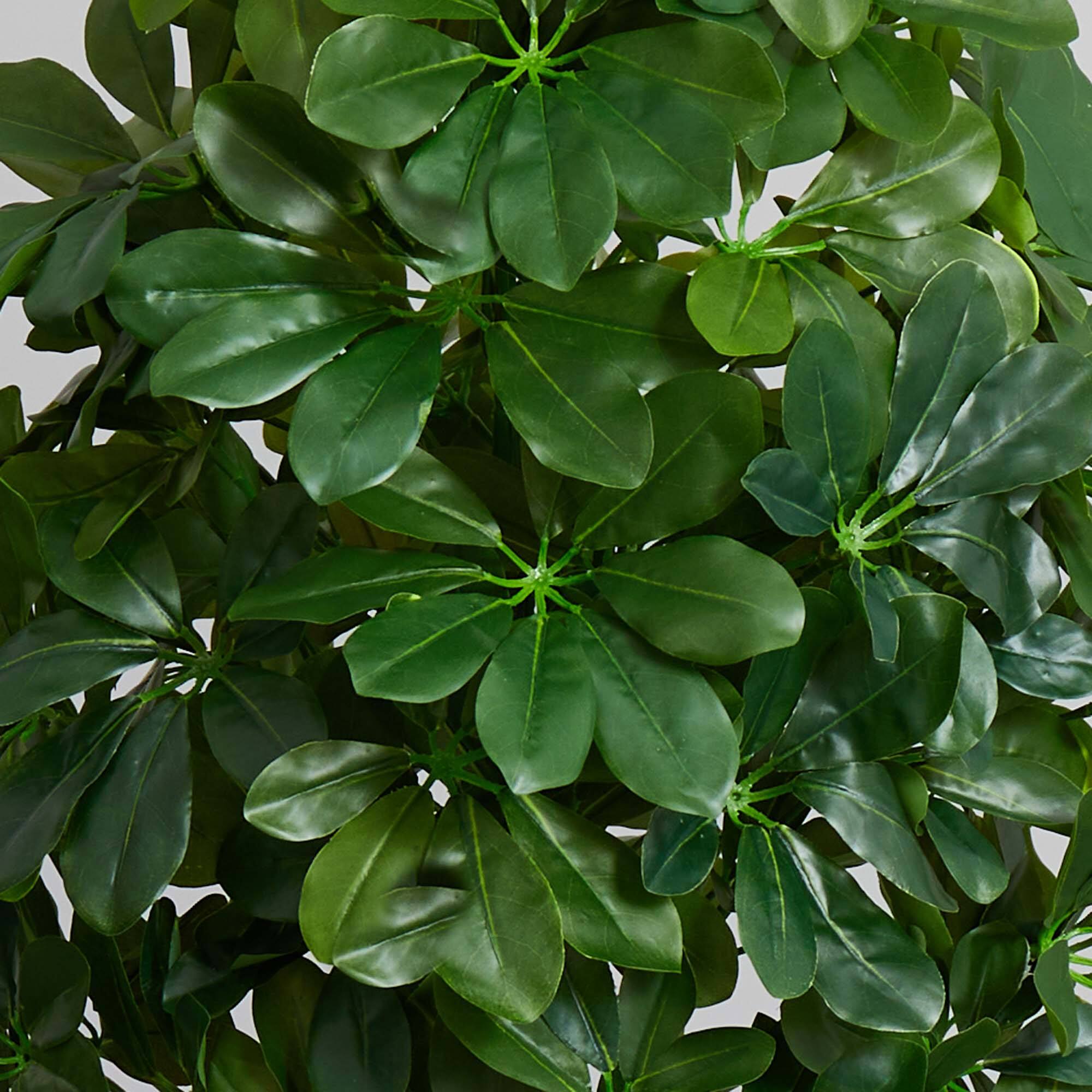 3ft. Umbrella Tree in White Vase