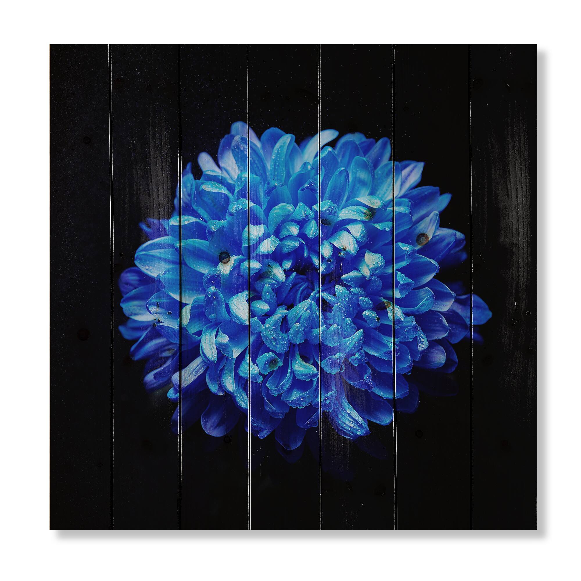 Designart - Blue Aster With Dew Drops