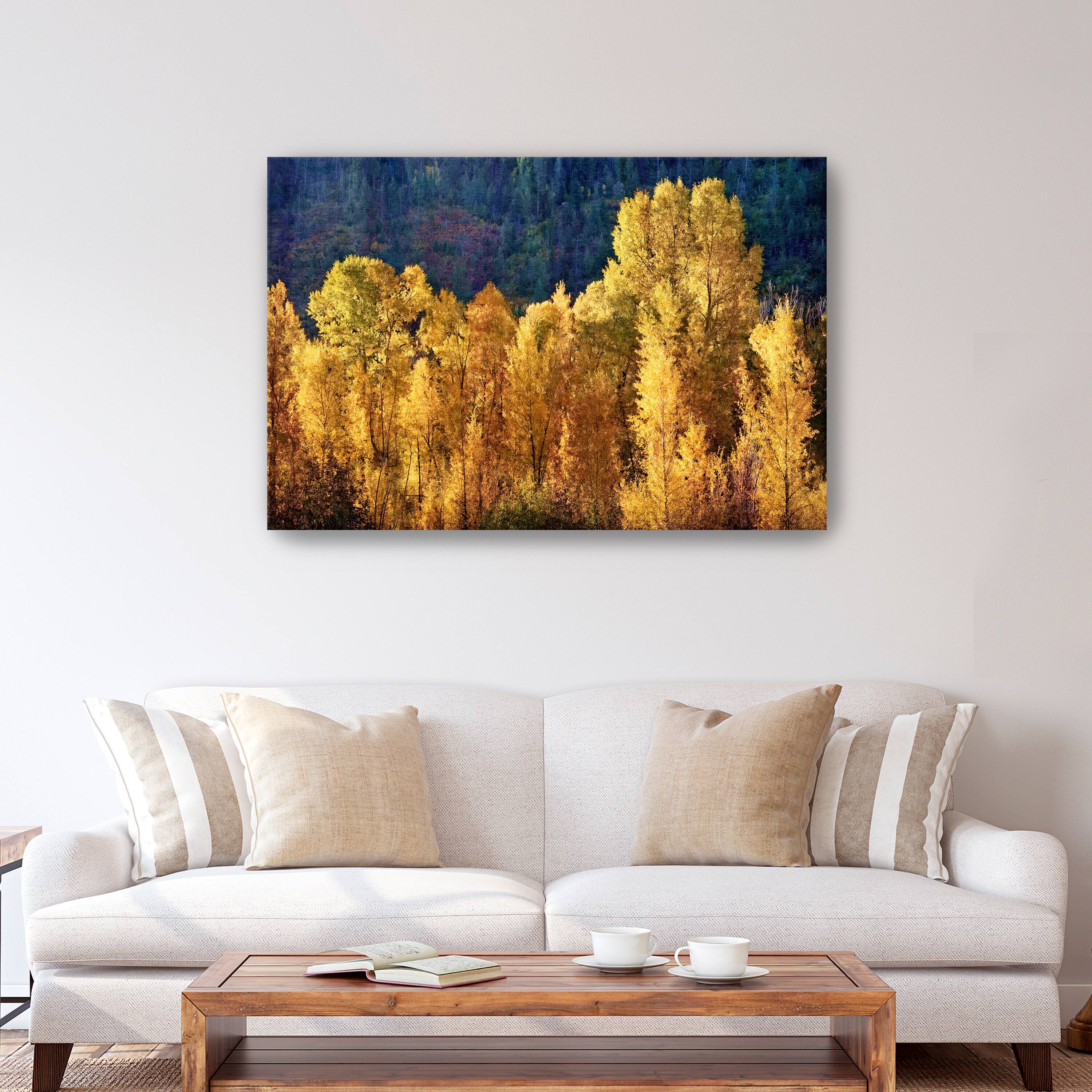 Aspens In Autumn Canvas Giclee