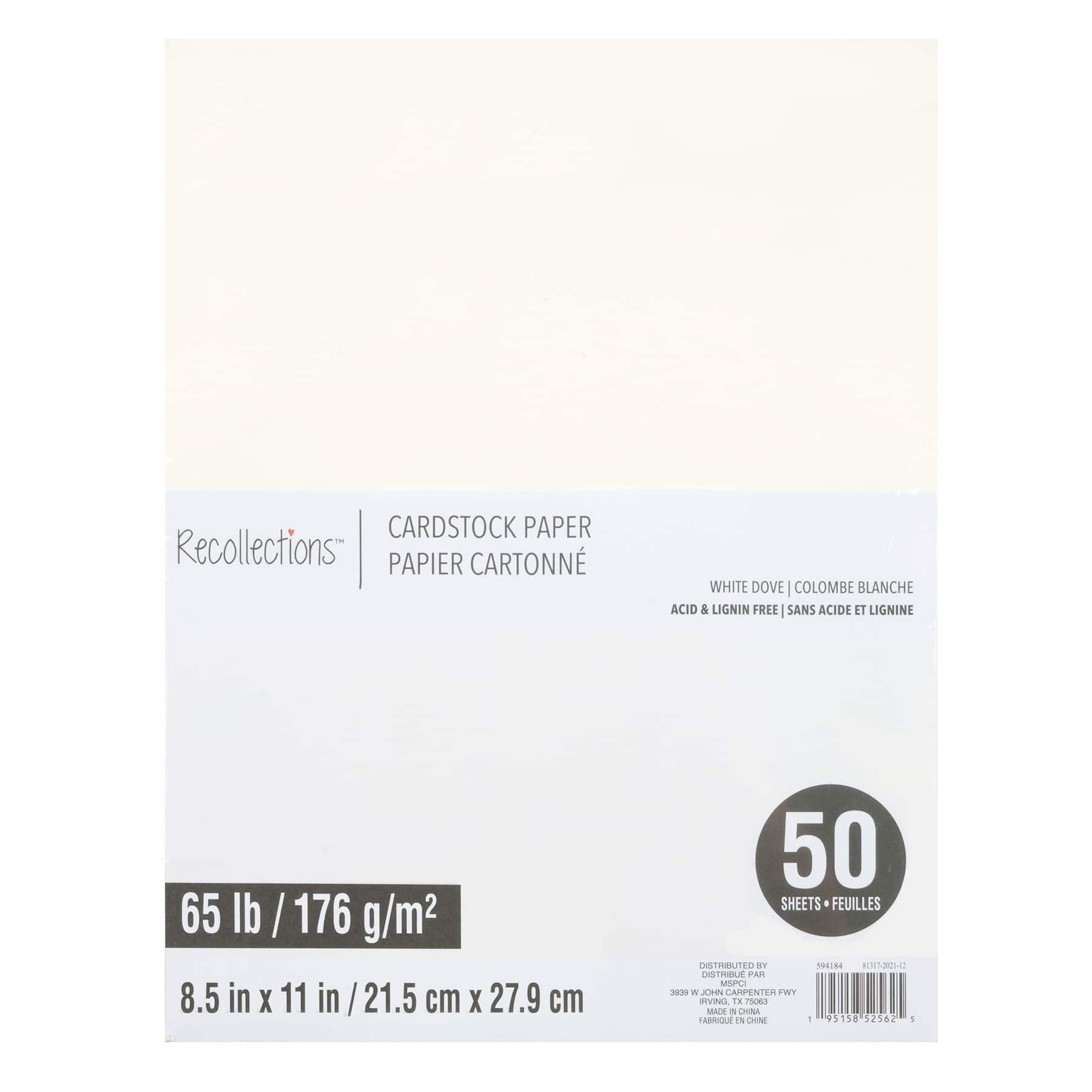 12 Packs: 50 ct. (600 total) White Dove 8.5" x 11" Cardstock Paper by Recollections™