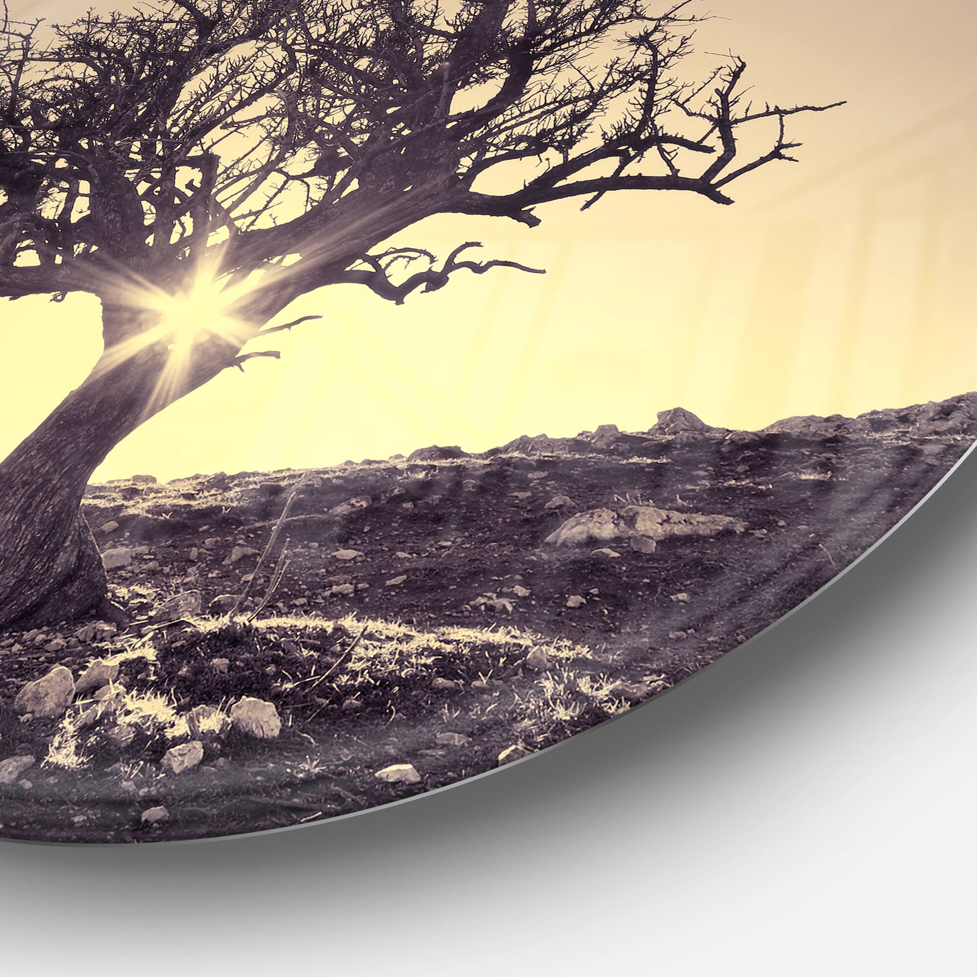 Designart - Lonely Grey Tree in Mountain' Extra Large Wall Art Landscape