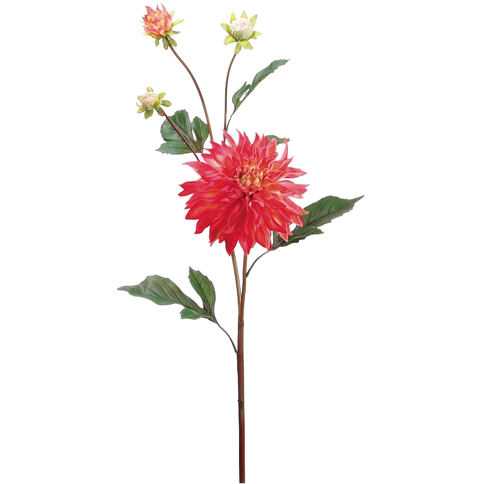 Peach Pink Garden Dahlia Spray 