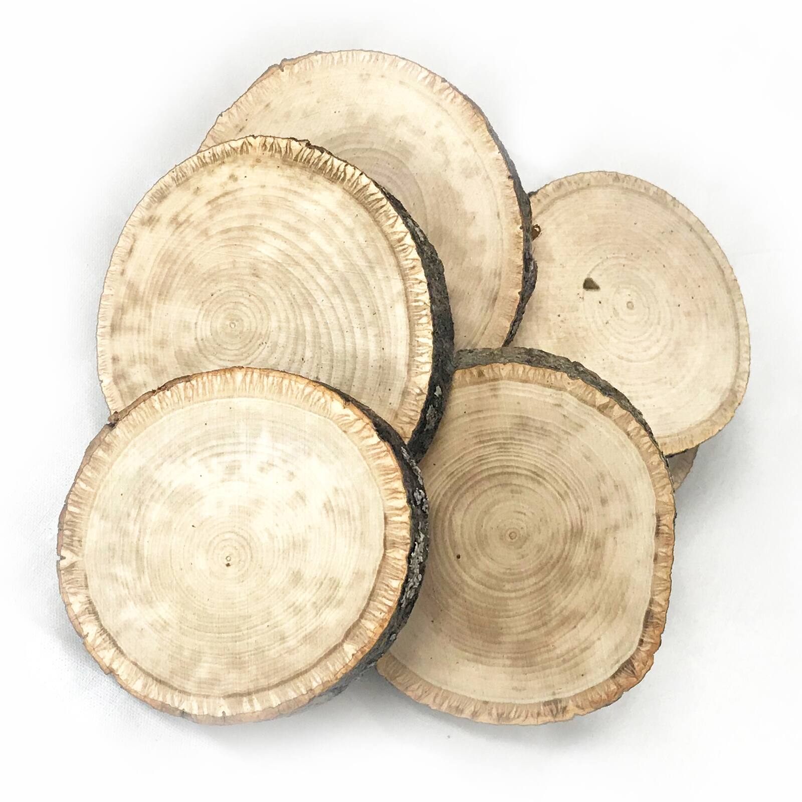 Wilson® Enterprises Small Basswood Ornament Seconds, 50ct.