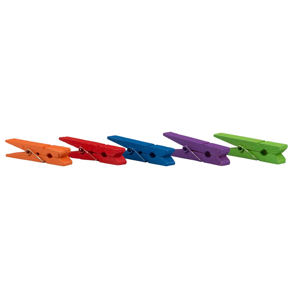 JAM Paper 2" Assorted Color Wood Clip Clothespins, 20ct.