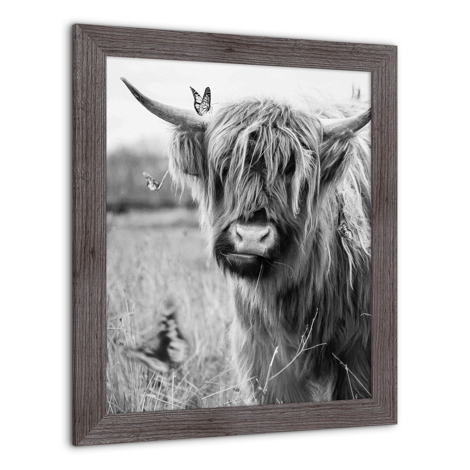 Black and White Highland Cow 20" x 24" Western Gray Framed Print