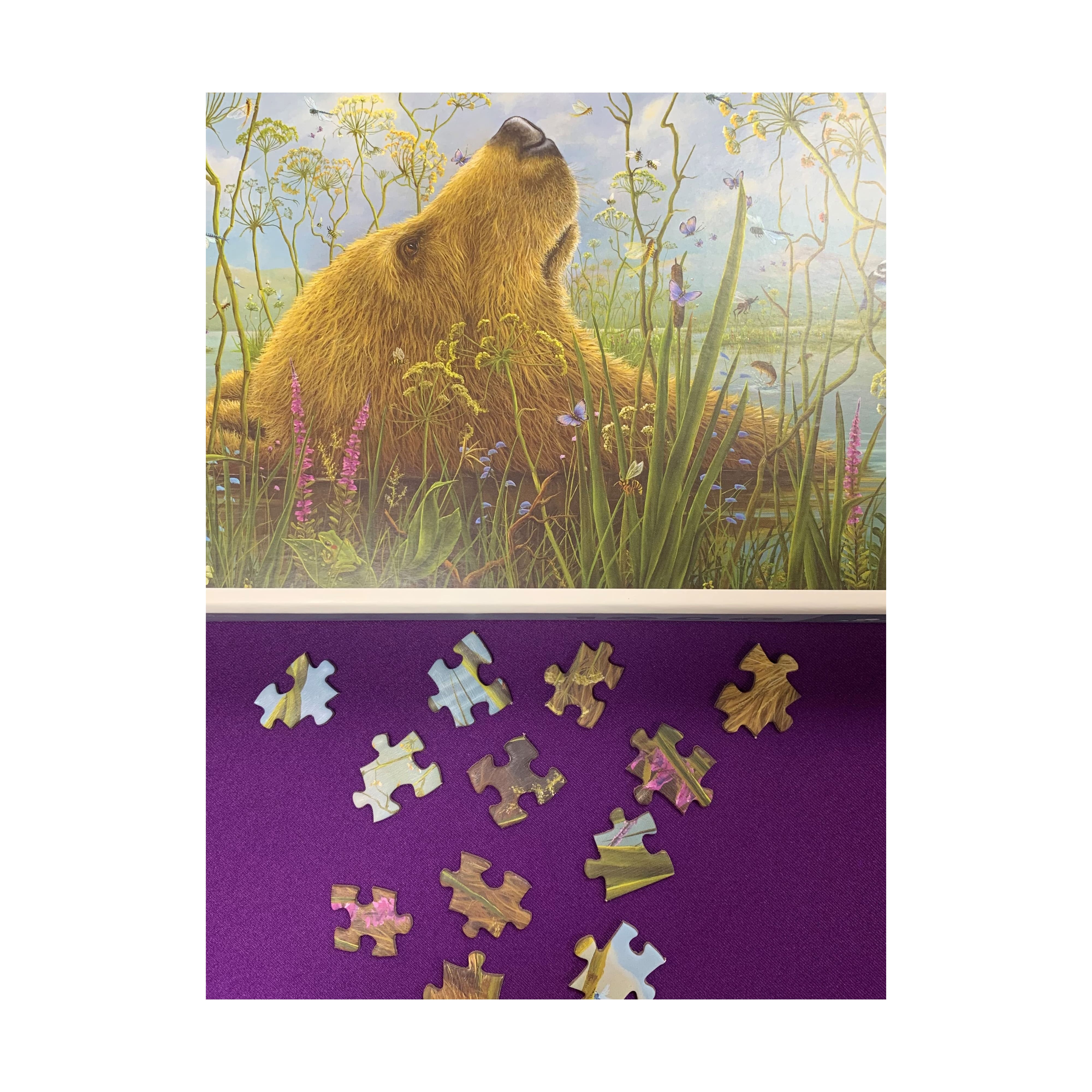 Robert Bissell - The Whole World Puzzle: 1000 Pcs