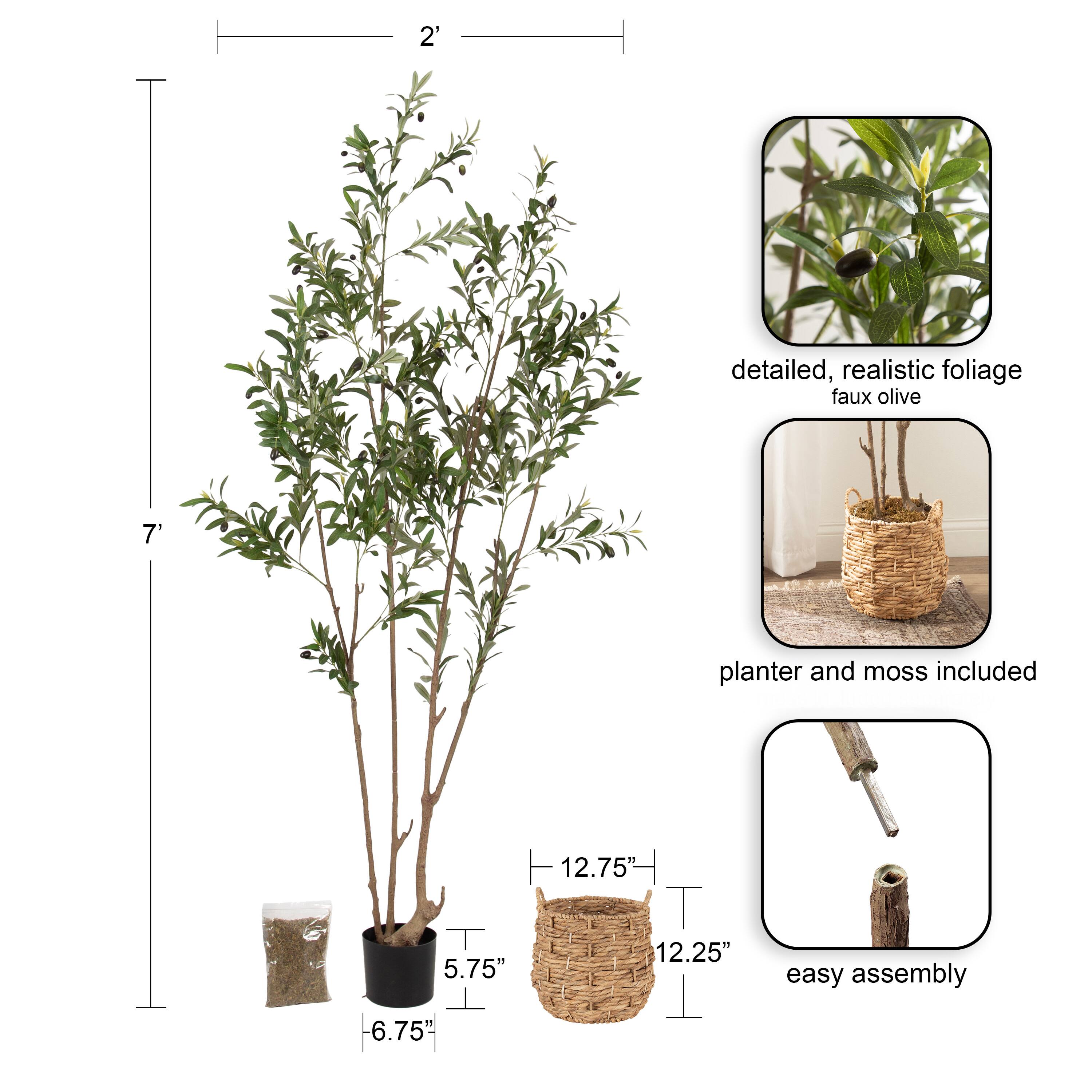 Kate and Laurel 7ft. Natural Green Oliveira Faux Olive Tree with Brown Basket