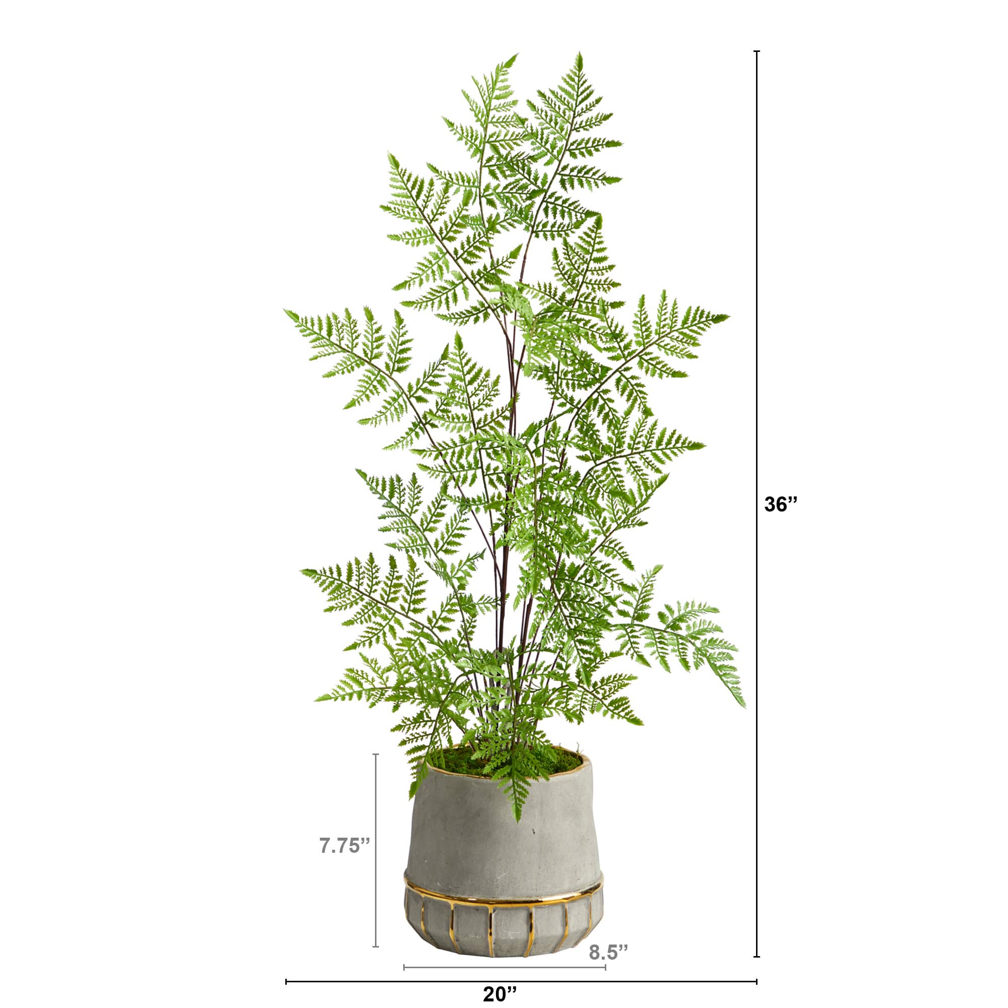 3ft. Ruffle Fern Tree in Gold Trimmed Stoneware Planter