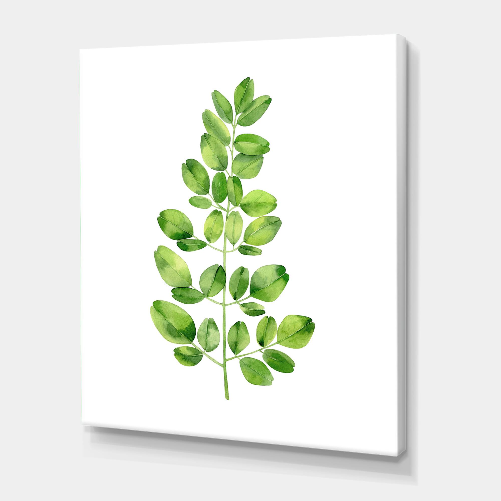 Designart - Moringa Branch Tropical Tree Foliage - Farmhouse Canvas Wall Art Print