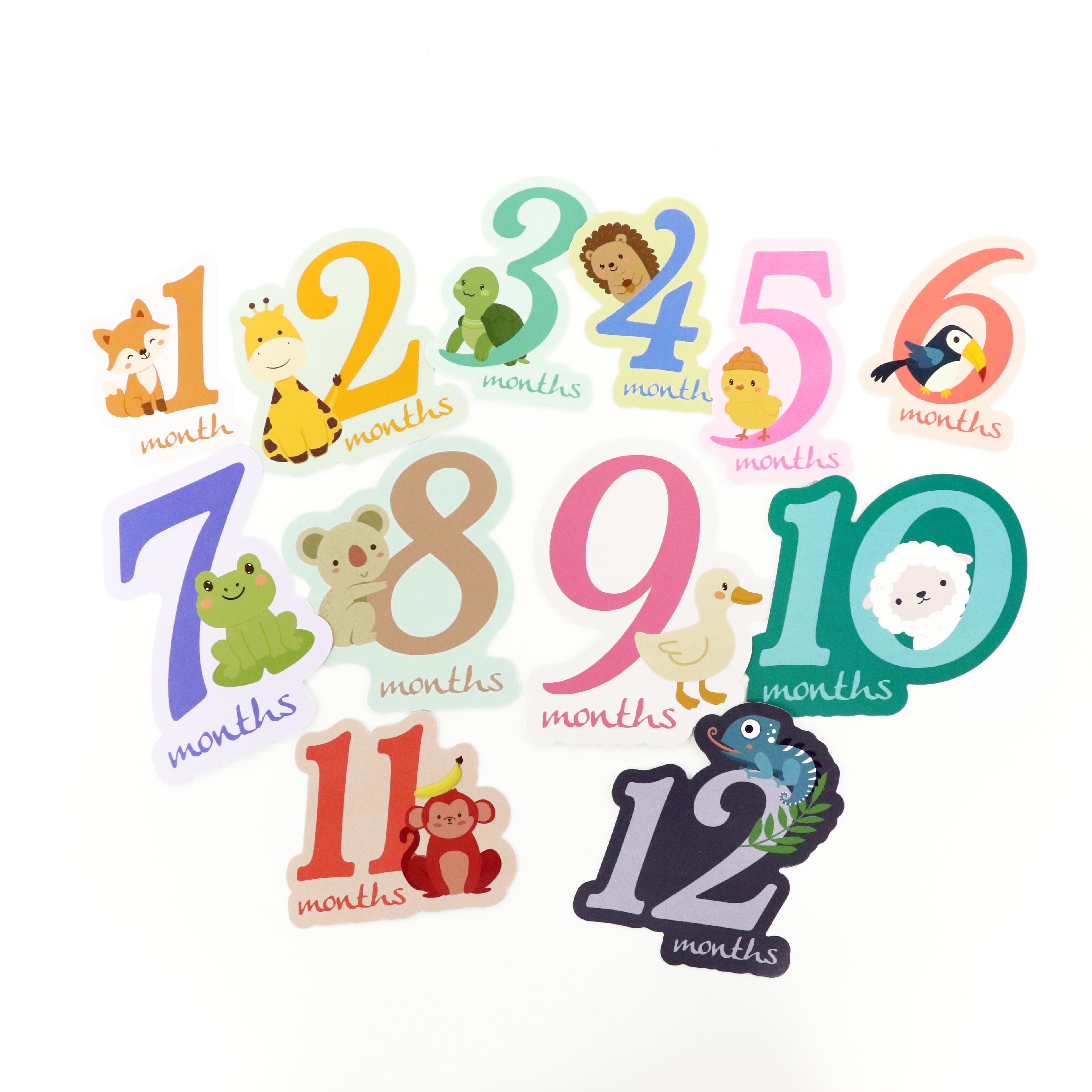 Baby Months Die Cut Stickers by Recollections™