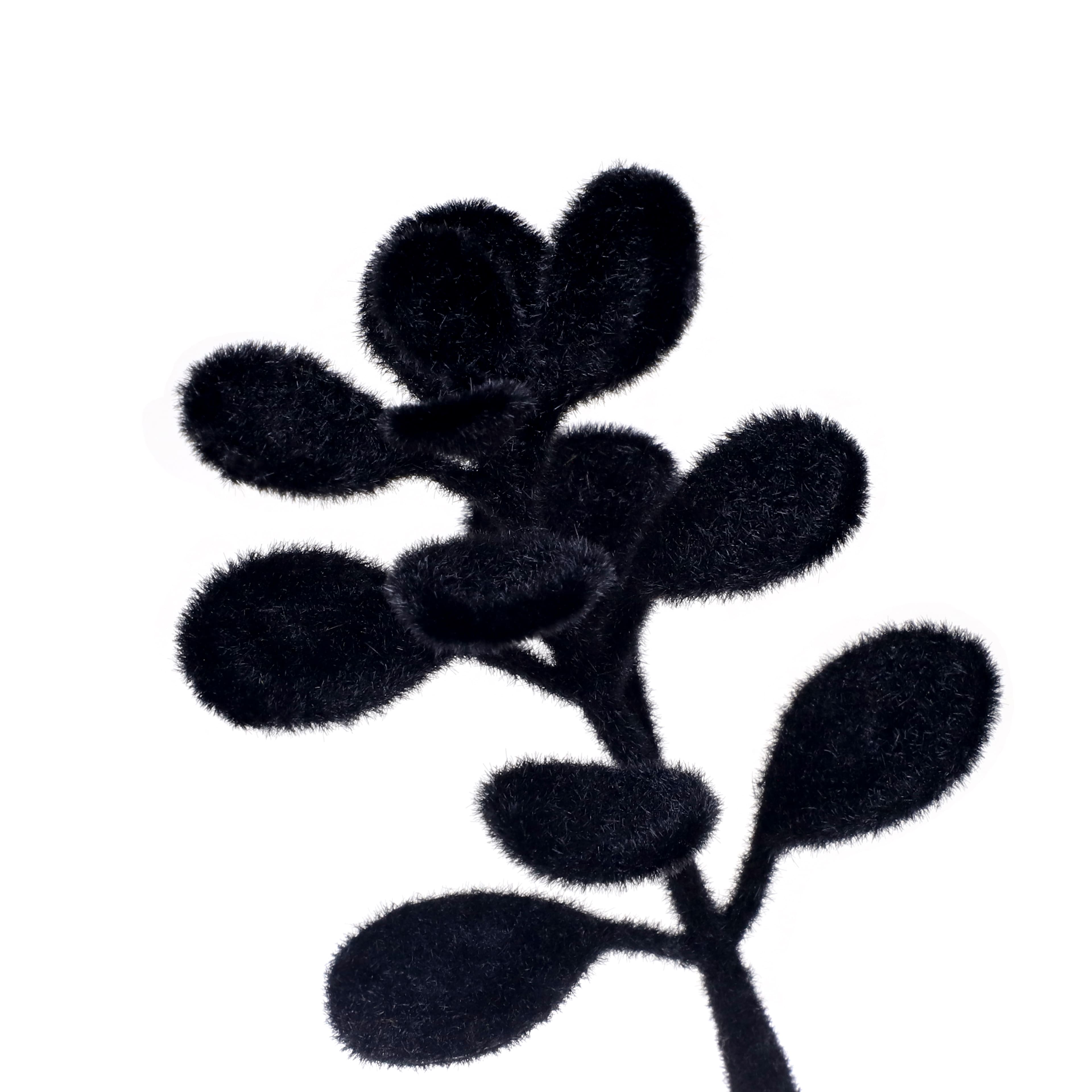 10" Black Boxwood Pick by Ashland®